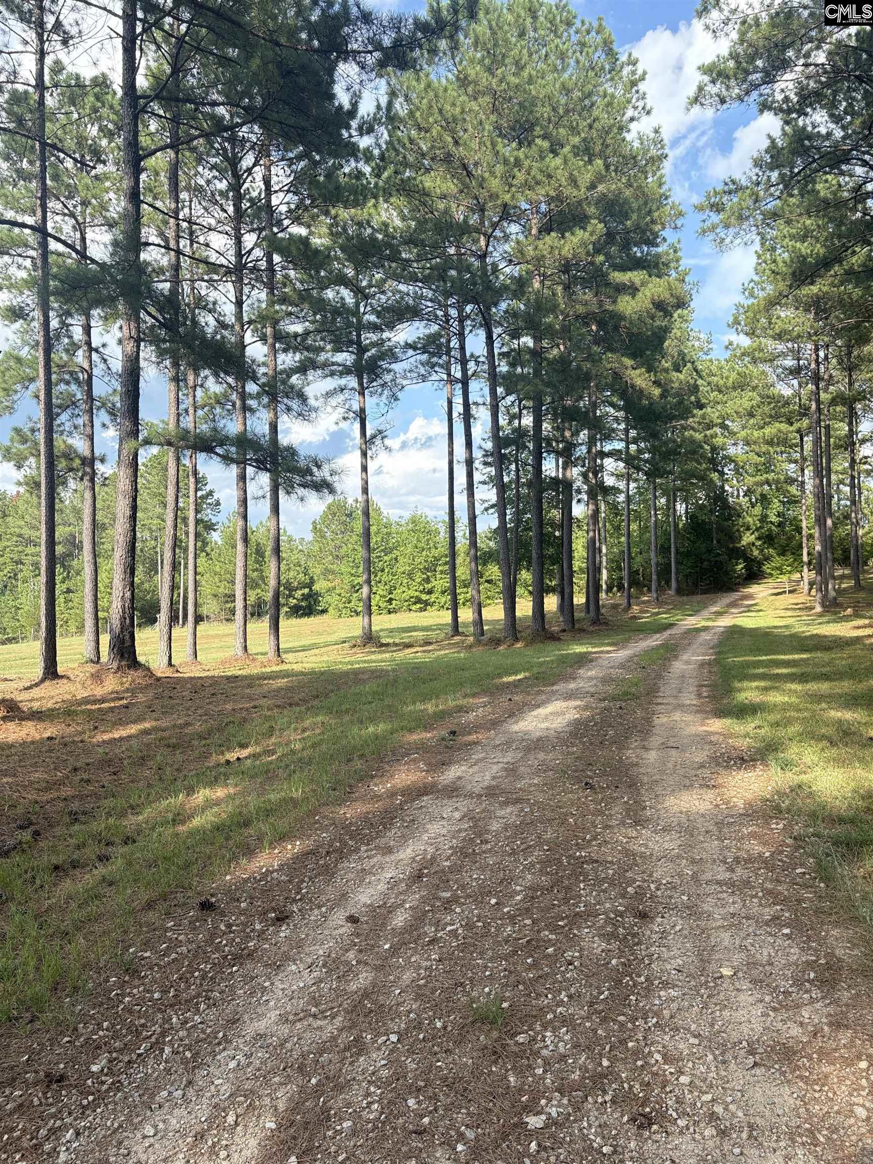 395 New Cut Road Edgefield, SC 29824