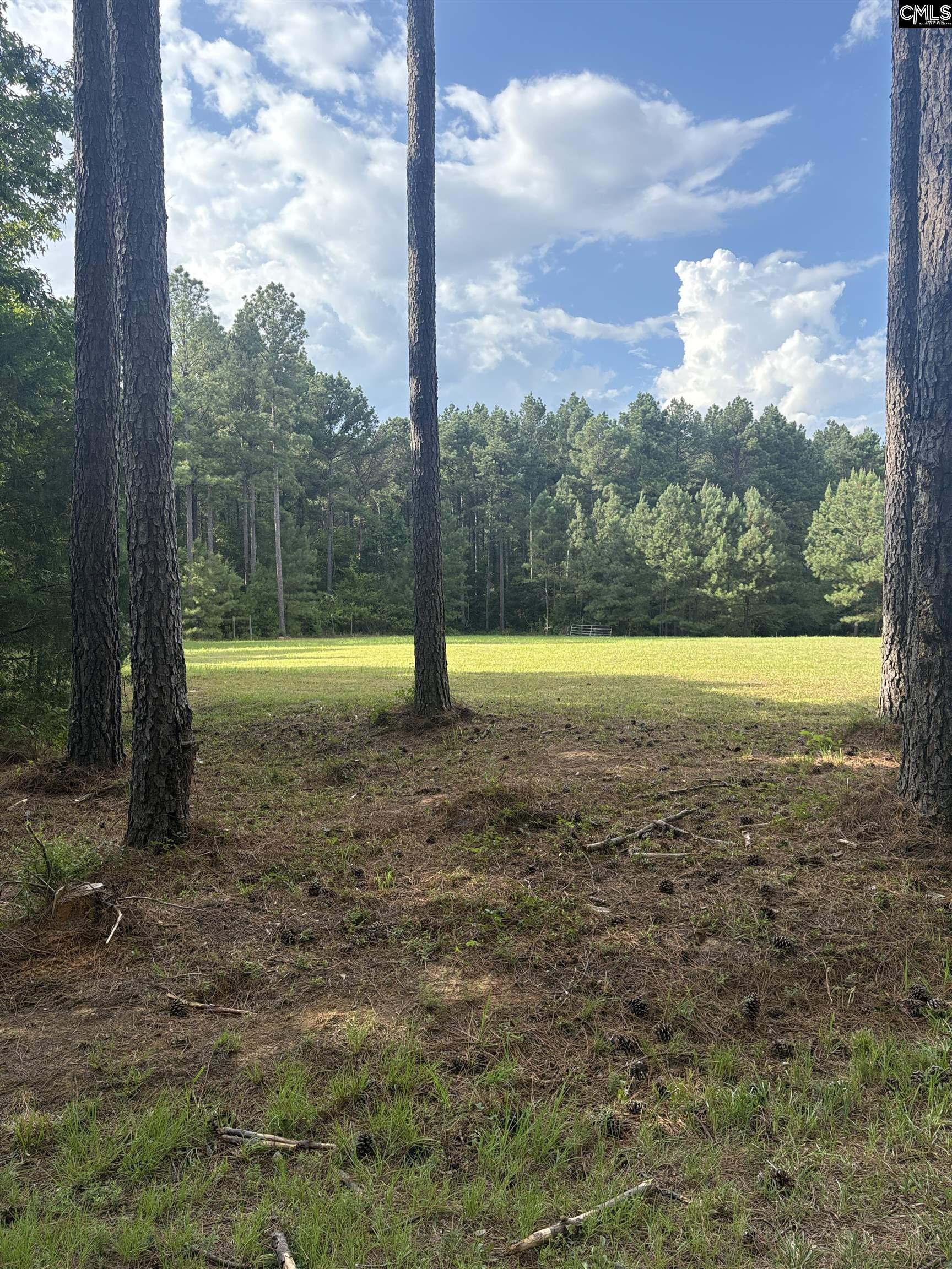 395 New Cut Road Edgefield, SC 29824