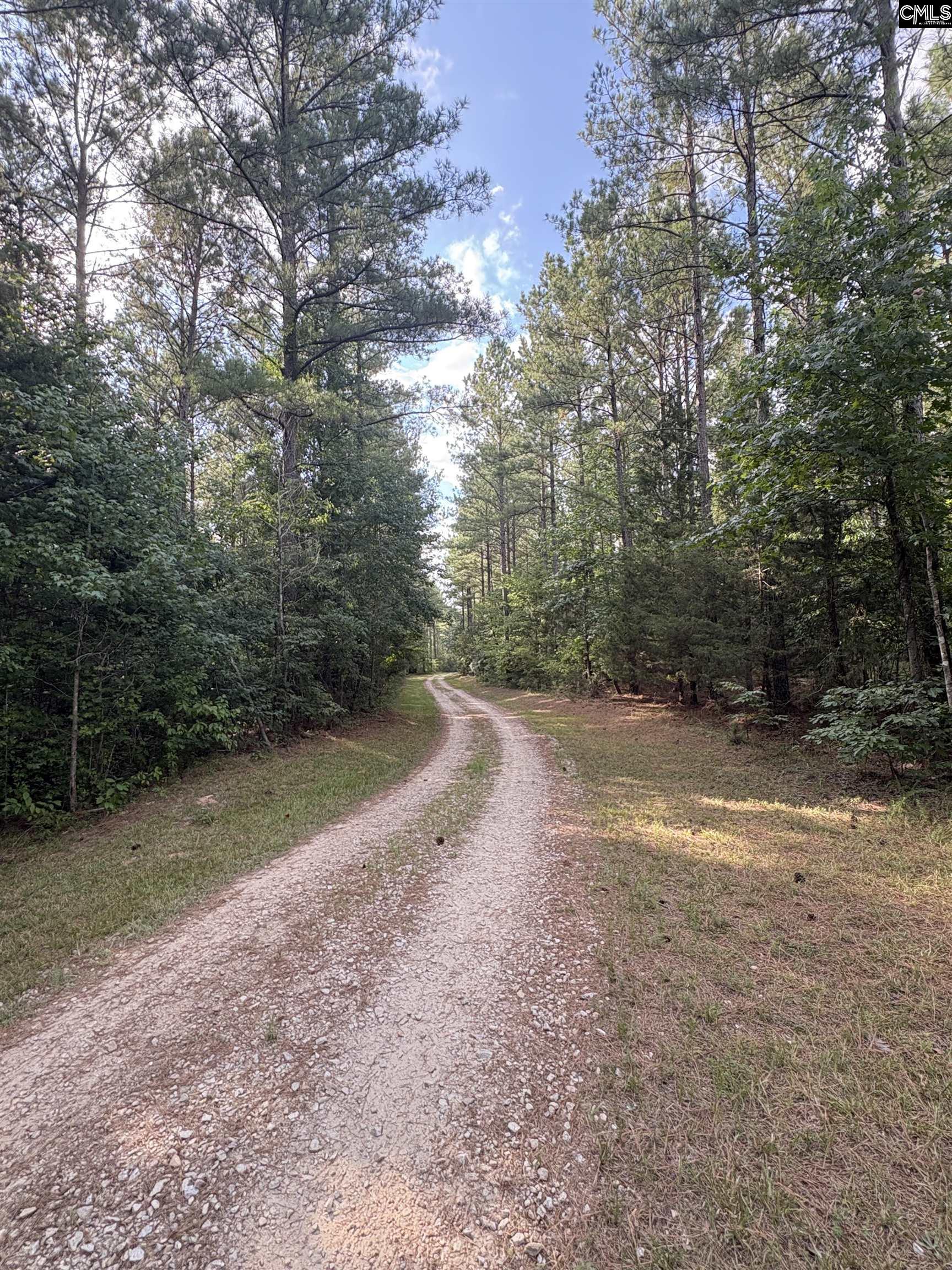 395 New Cut Road Edgefield, SC 29824