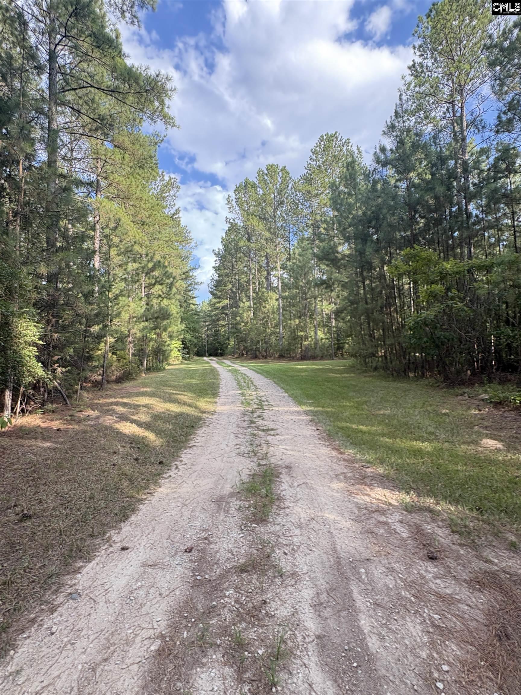 395 New Cut Road Edgefield, SC 29824