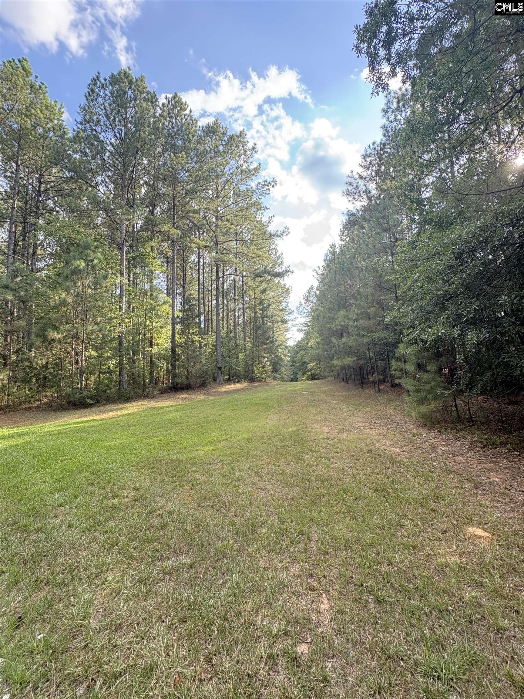 395 New Cut Road Edgefield, SC 29824
