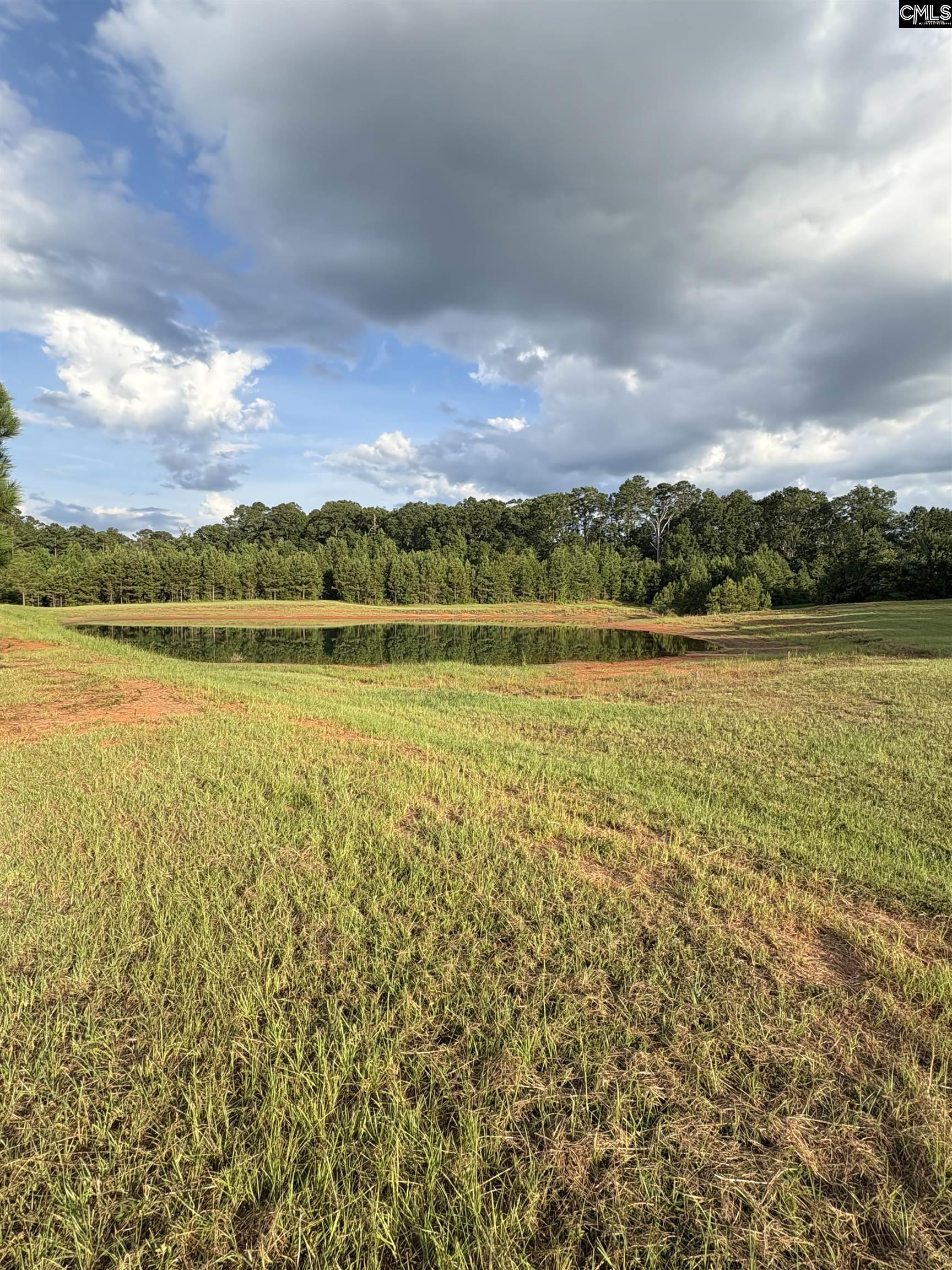 395 New Cut Road Edgefield, SC 29824