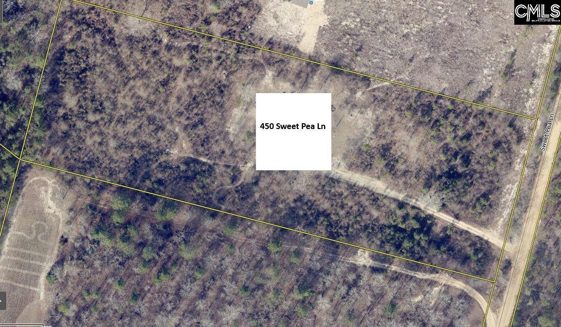 450 Sweet Pea Lane Swansea, SC 29160