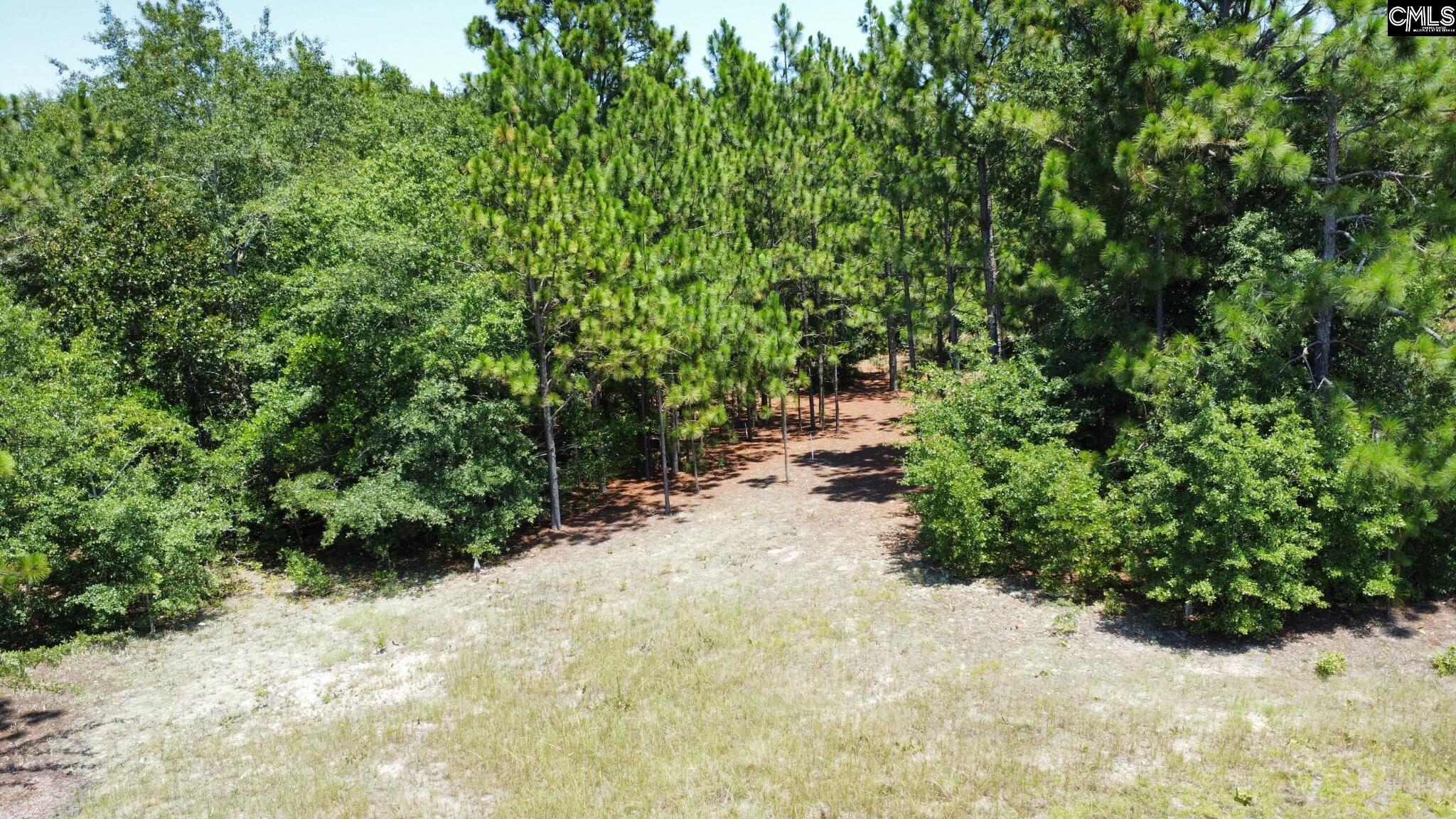TBD Edmund Highway Pelion, SC 29123