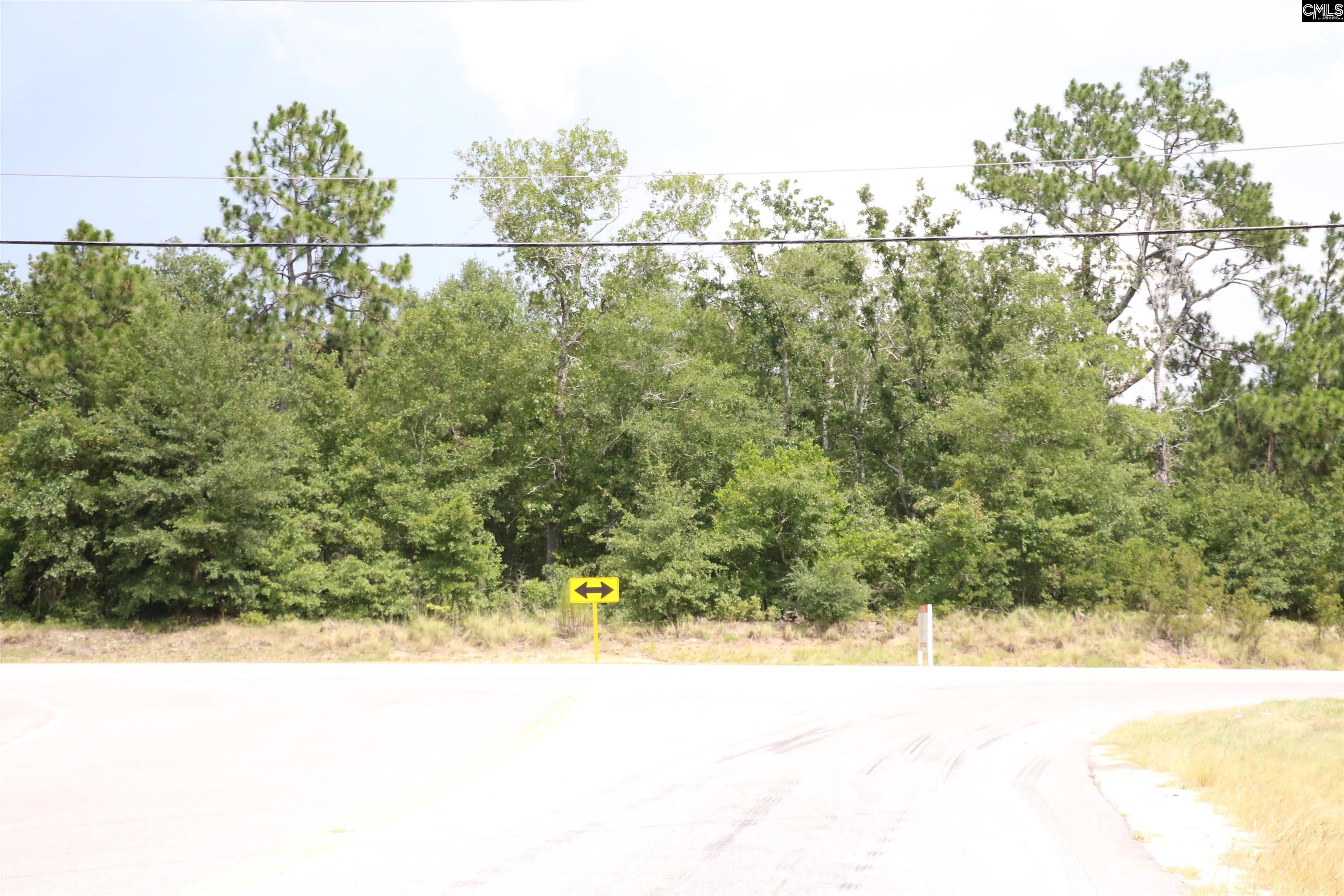 TBD Edmund Highway Pelion, SC 29123
