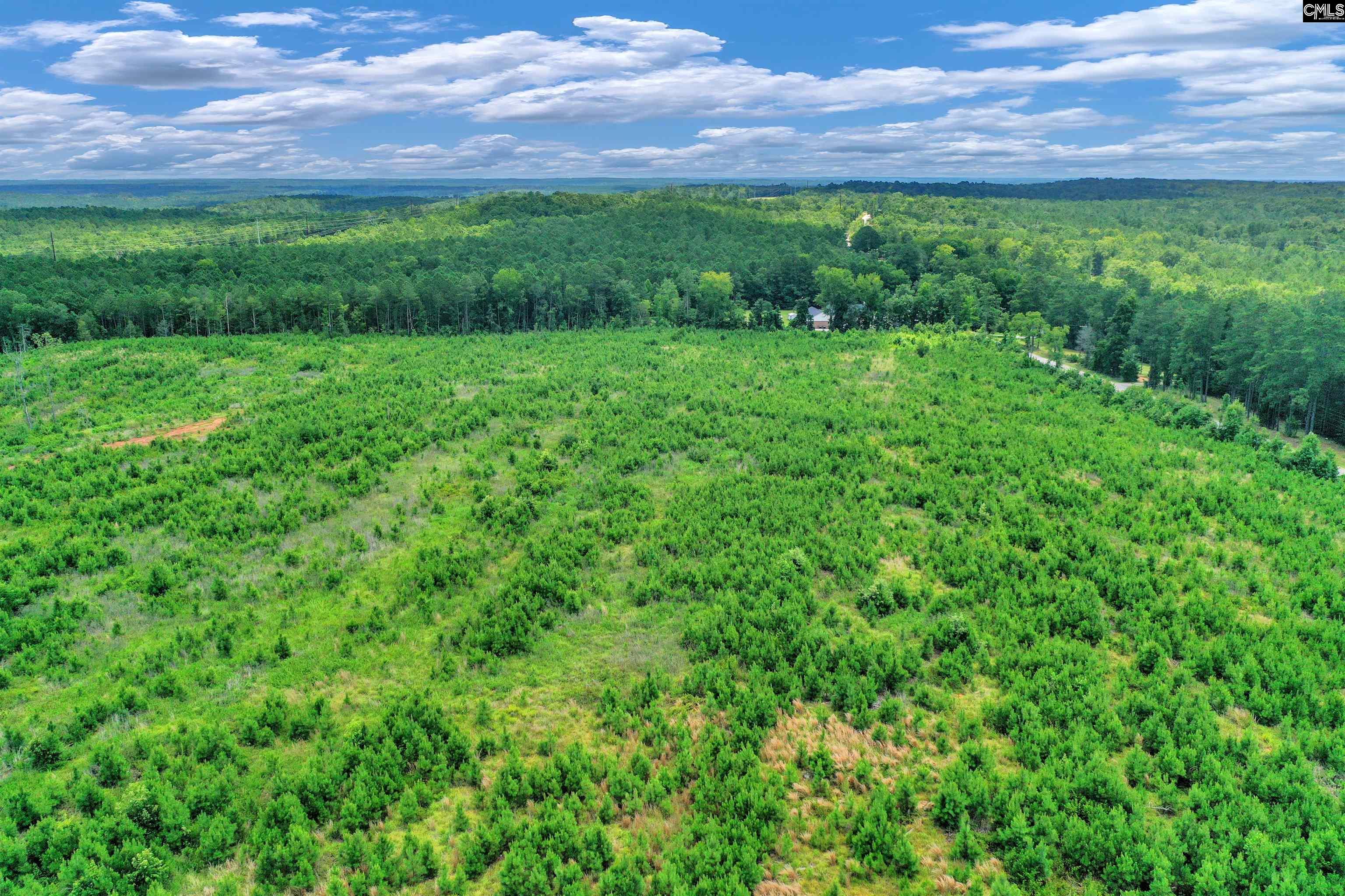 0000 Hwy 215 UNIT #4 Jenkinsville, SC 29065