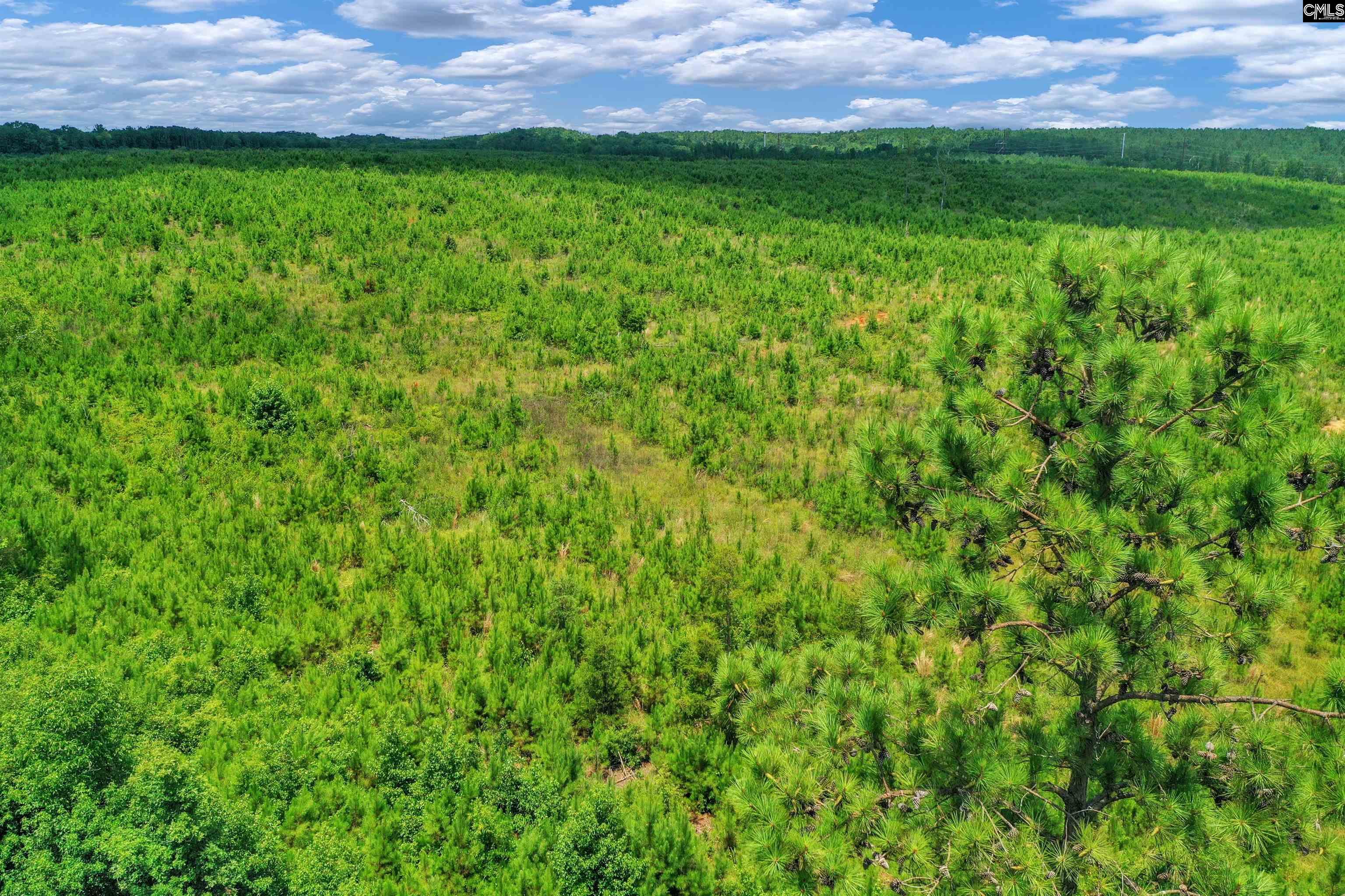 0000 Hwy 215 UNIT #4 Jenkinsville, SC 29065