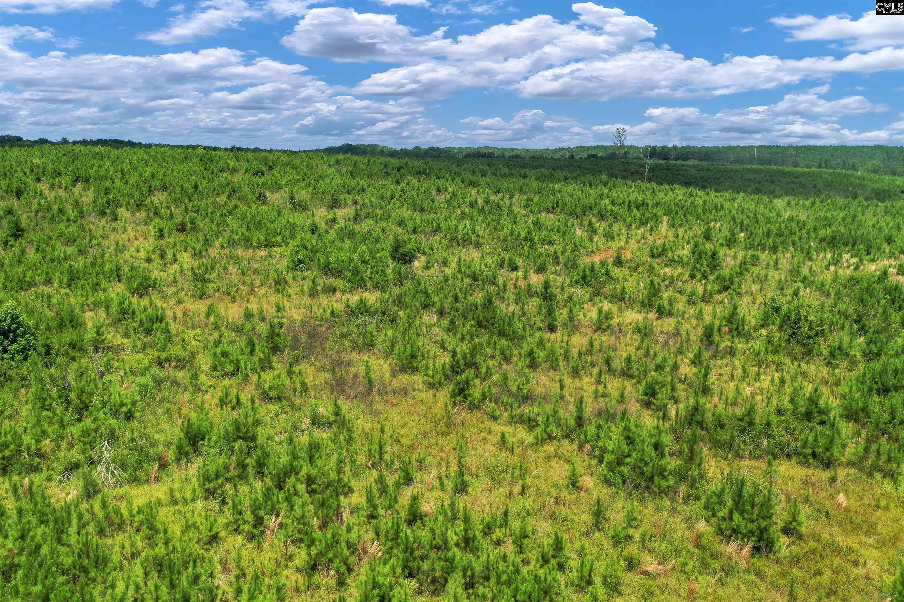 0000 Hwy 215 UNIT #4 Jenkinsville, SC 29065