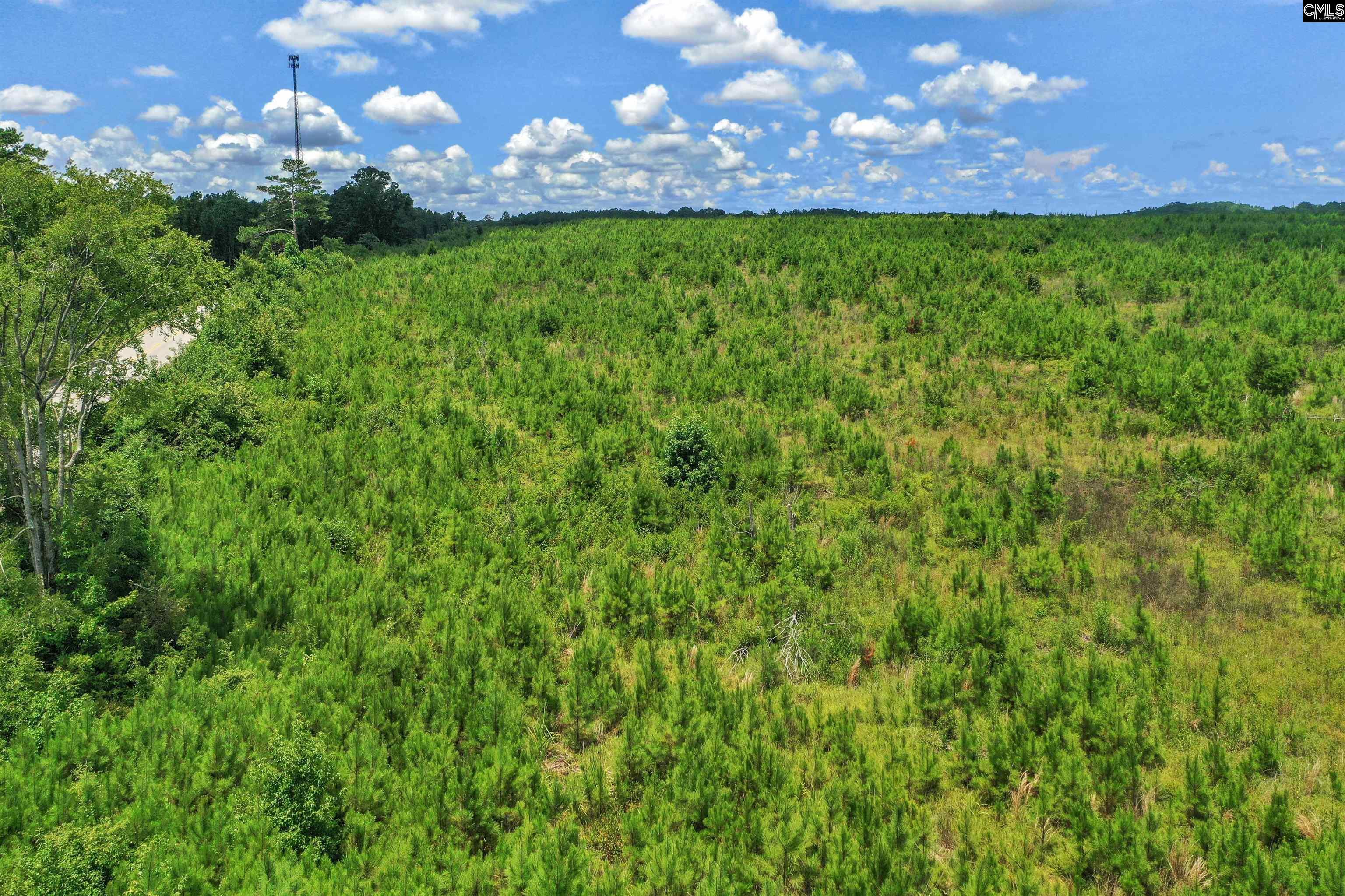 0000 Hwy 215 UNIT #4 Jenkinsville, SC 29065