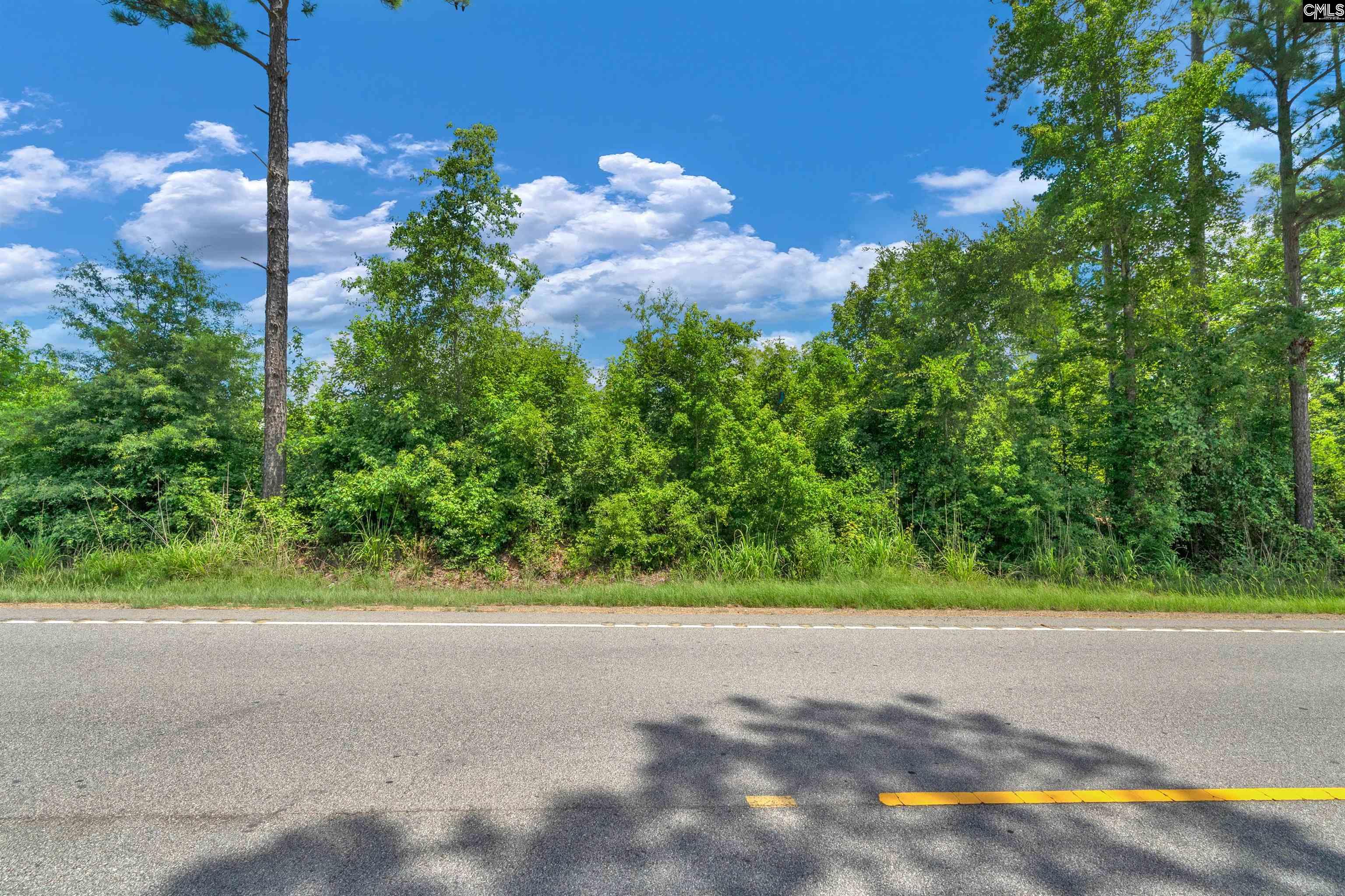 0000 Hwy 215 UNIT #4 Jenkinsville, SC 29065
