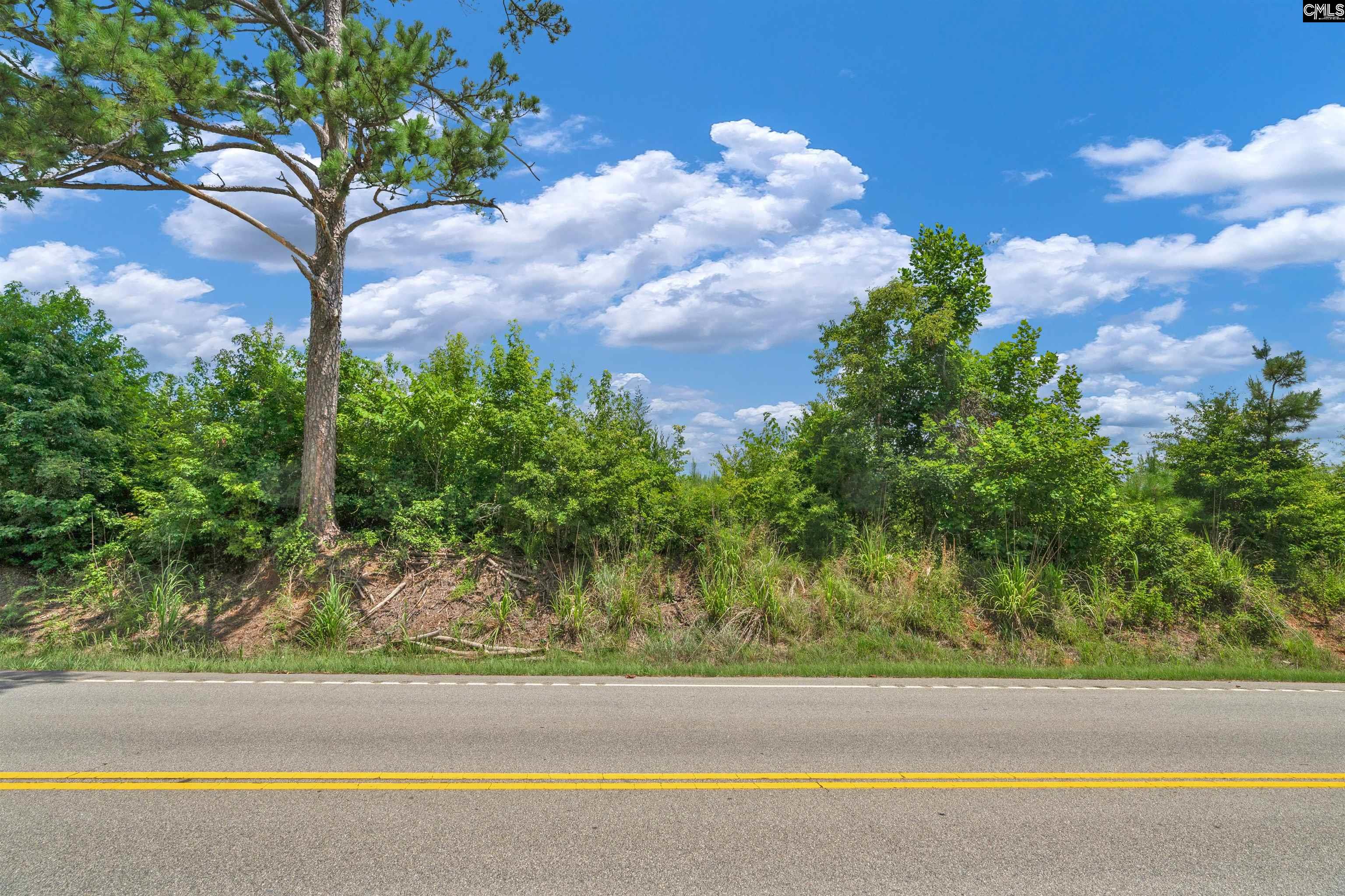 0000 Hwy 215 UNIT #4 Jenkinsville, SC 29065