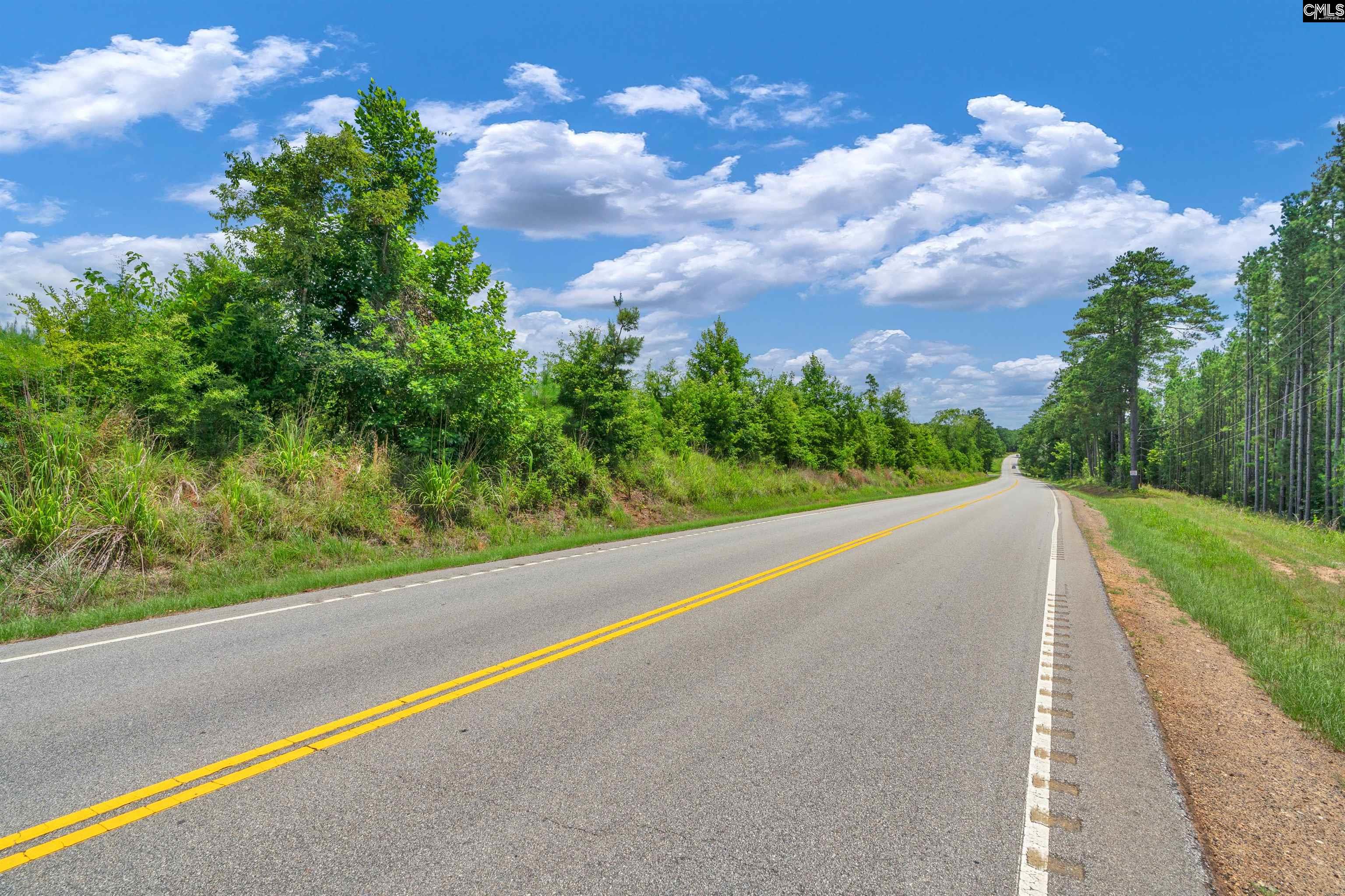 0000 Hwy 215 UNIT #4 Jenkinsville, SC 29065