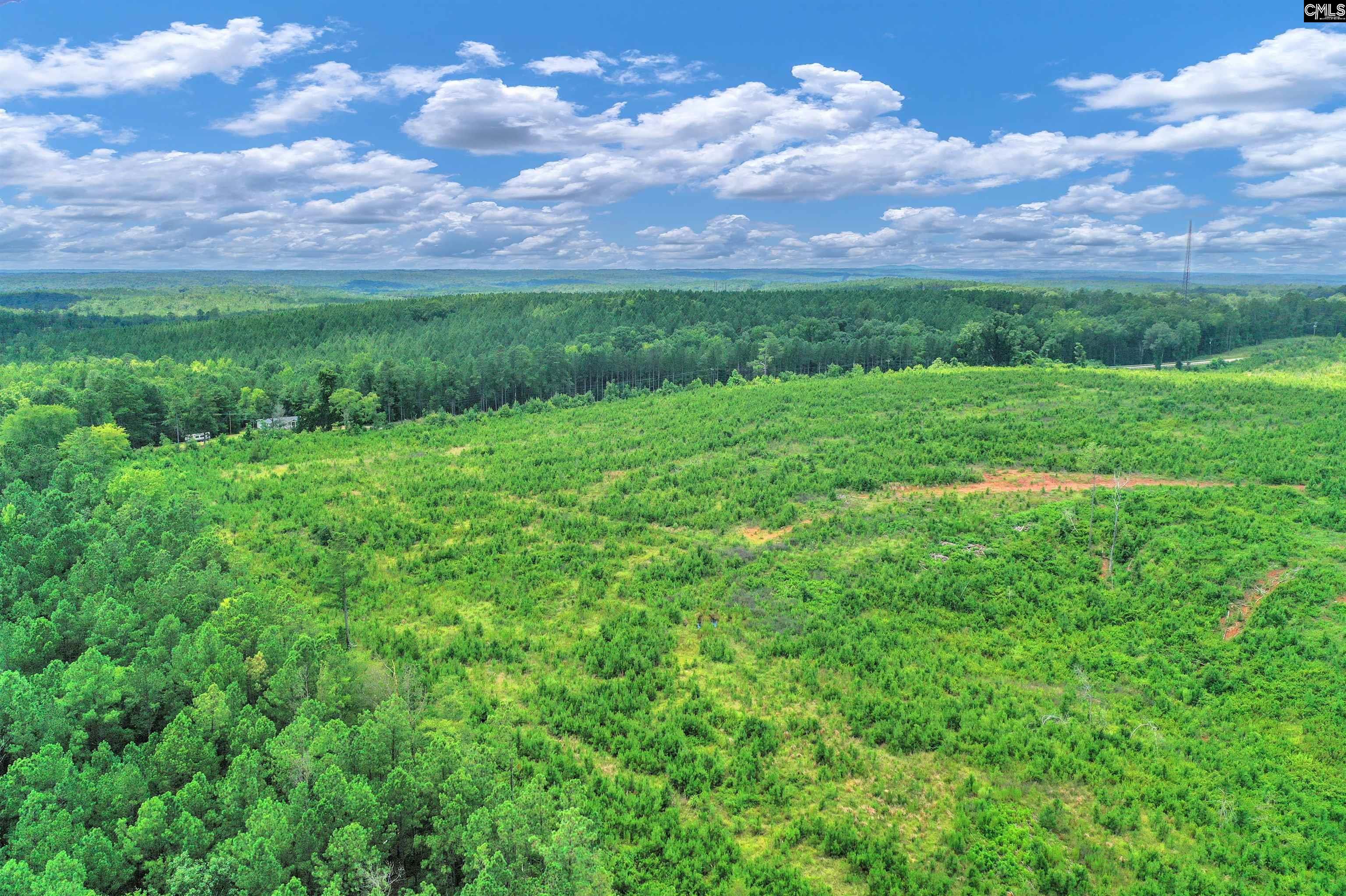 0000 Hwy 215 UNIT #4 Jenkinsville, SC 29065