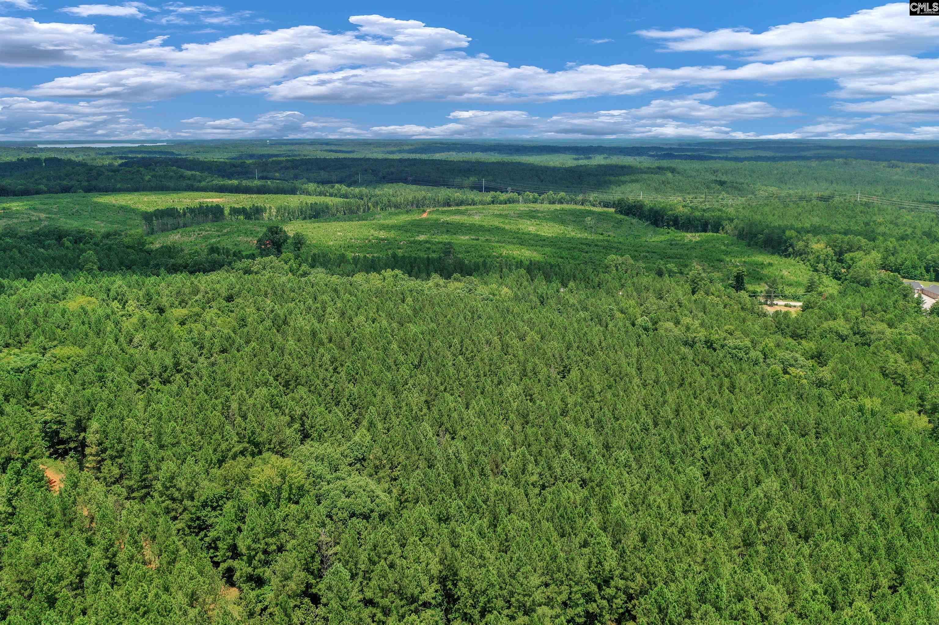 0000 Hwy 215 UNIT #9 Jenkinsville, SC 29065