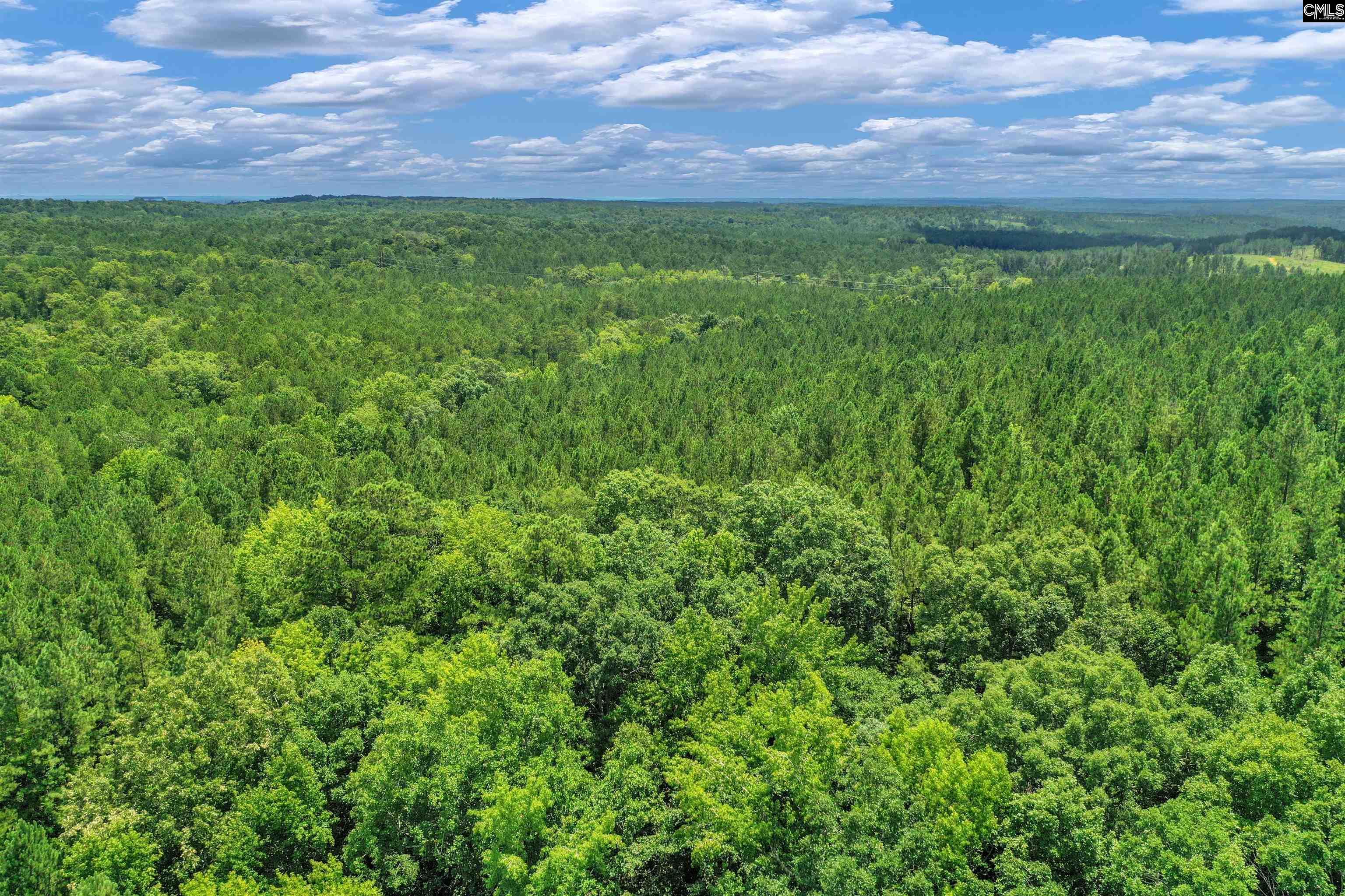 0000 Hwy 215 UNIT #9 Jenkinsville, SC 29065