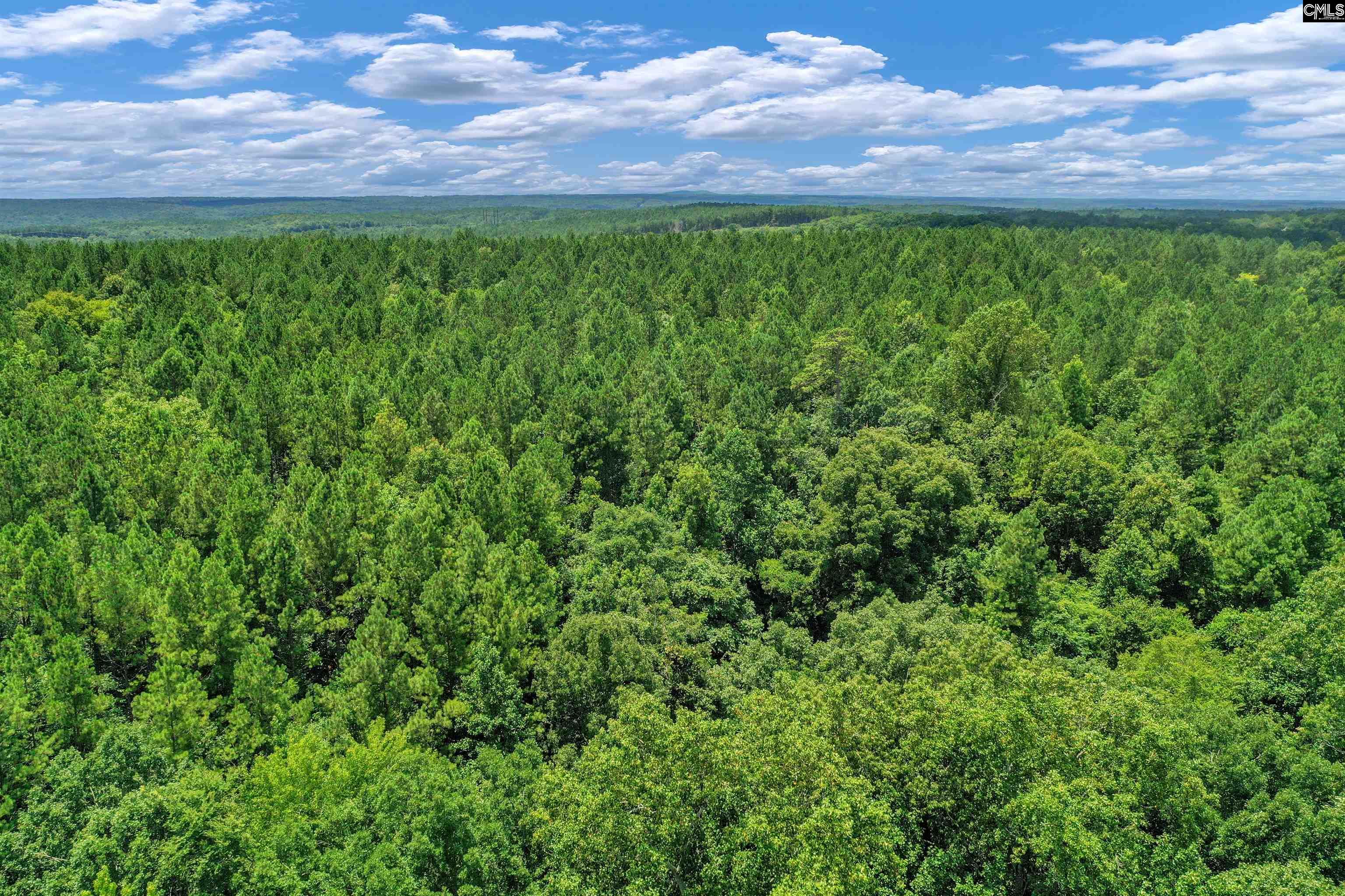 0000 Hwy 215 UNIT #9 Jenkinsville, SC 29065