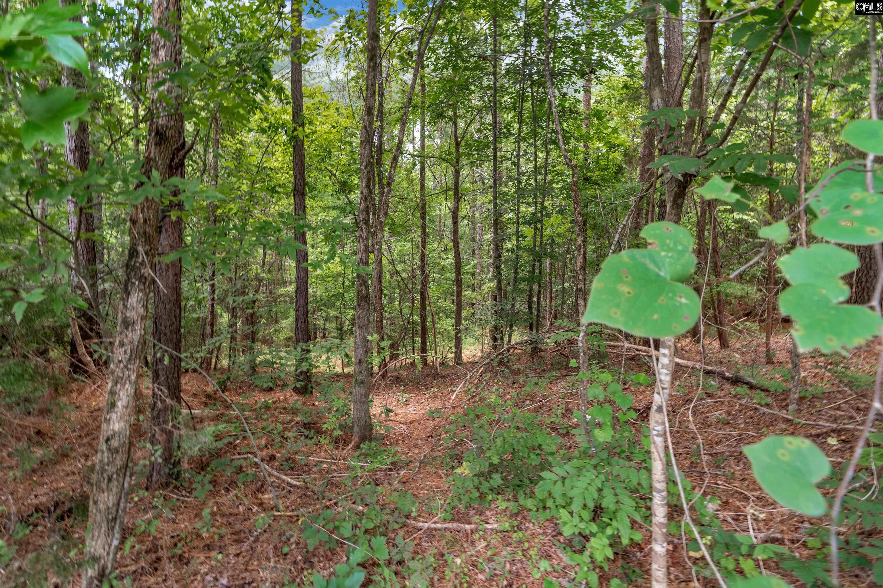 0000 Hwy 215 UNIT #9 Jenkinsville, SC 29065
