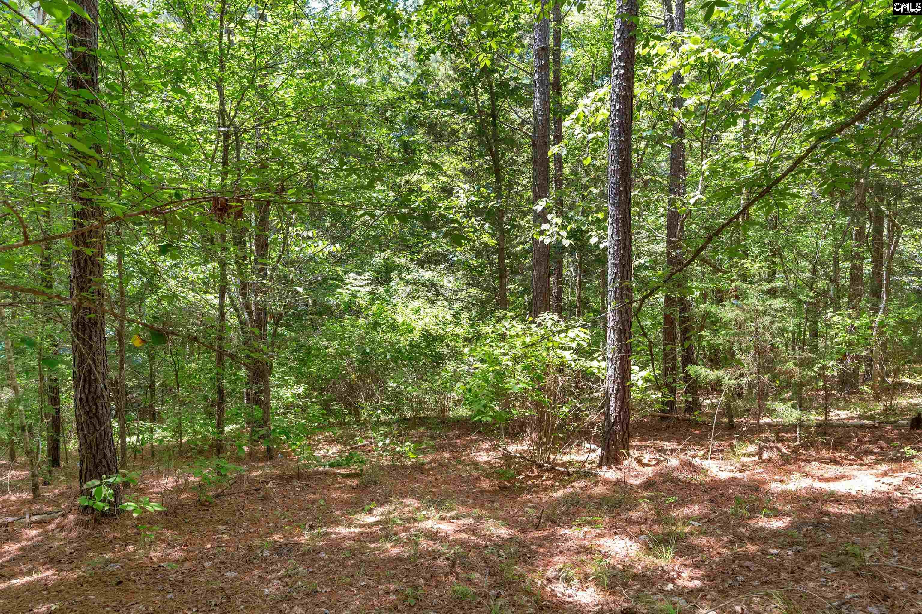 0000 Hwy 215 UNIT #9 Jenkinsville, SC 29065