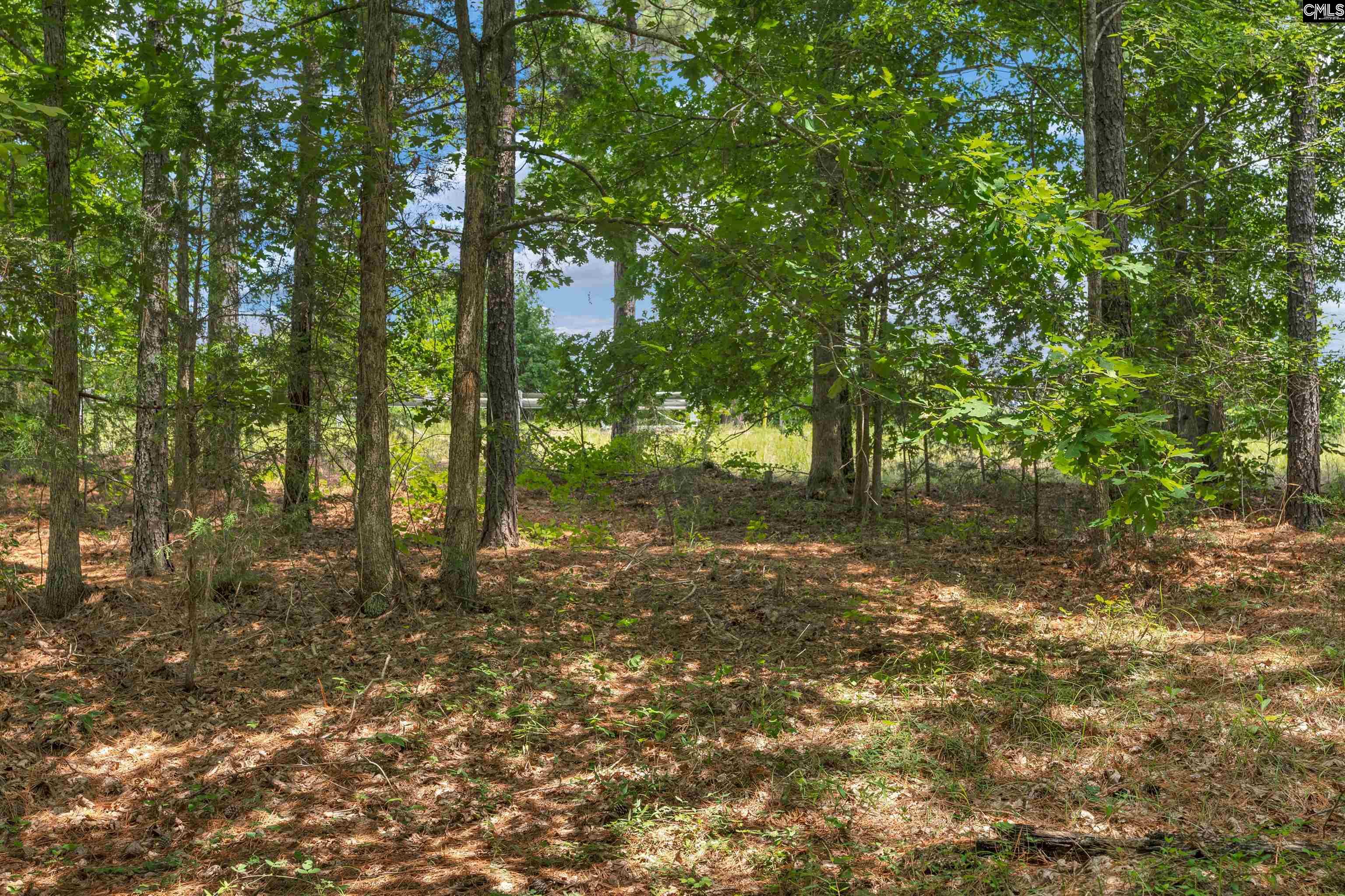 0000 Hwy 215 UNIT #9 Jenkinsville, SC 29065