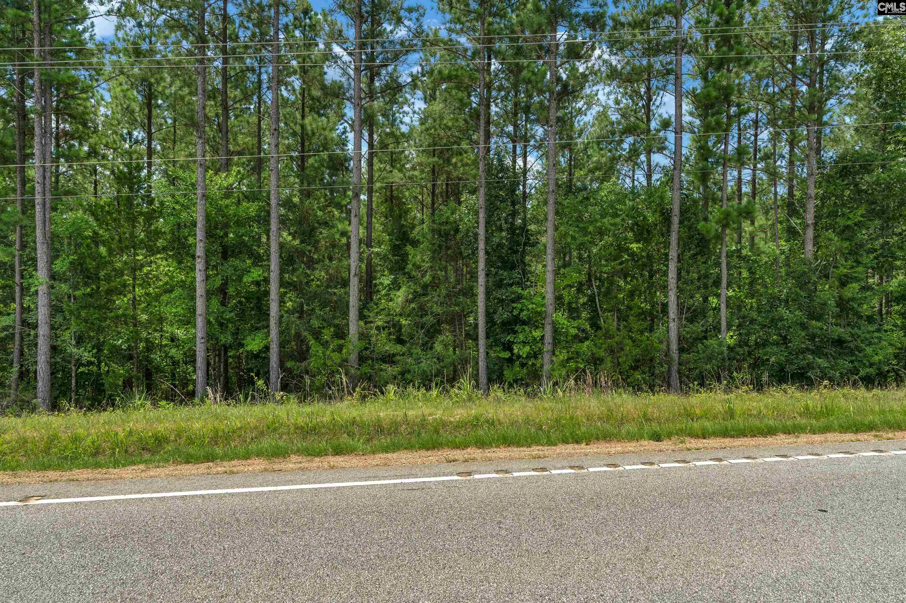 0000 Hwy 215 UNIT #9 Jenkinsville, SC 29065