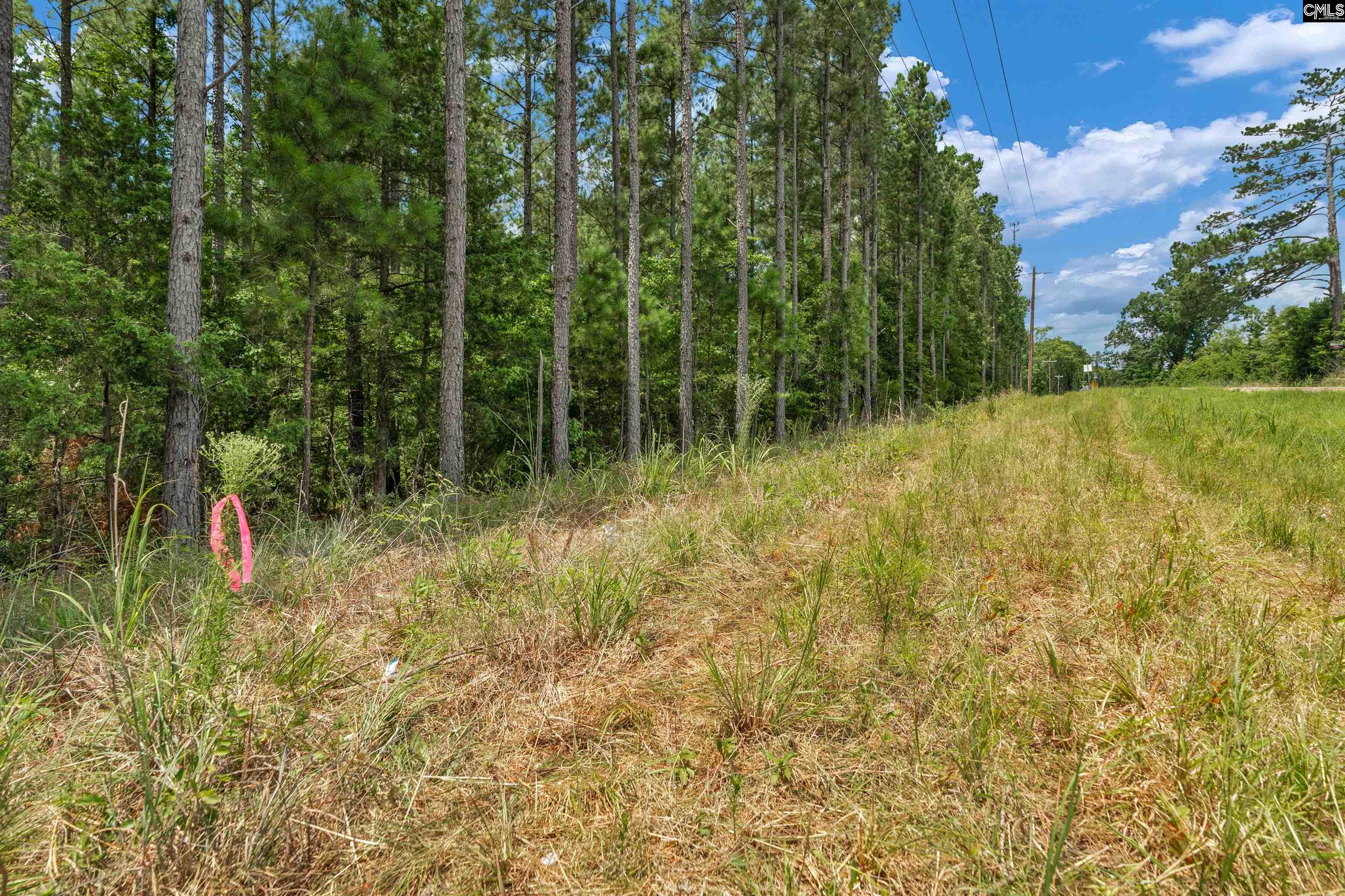 0000 Hwy 215 UNIT #9 Jenkinsville, SC 29065