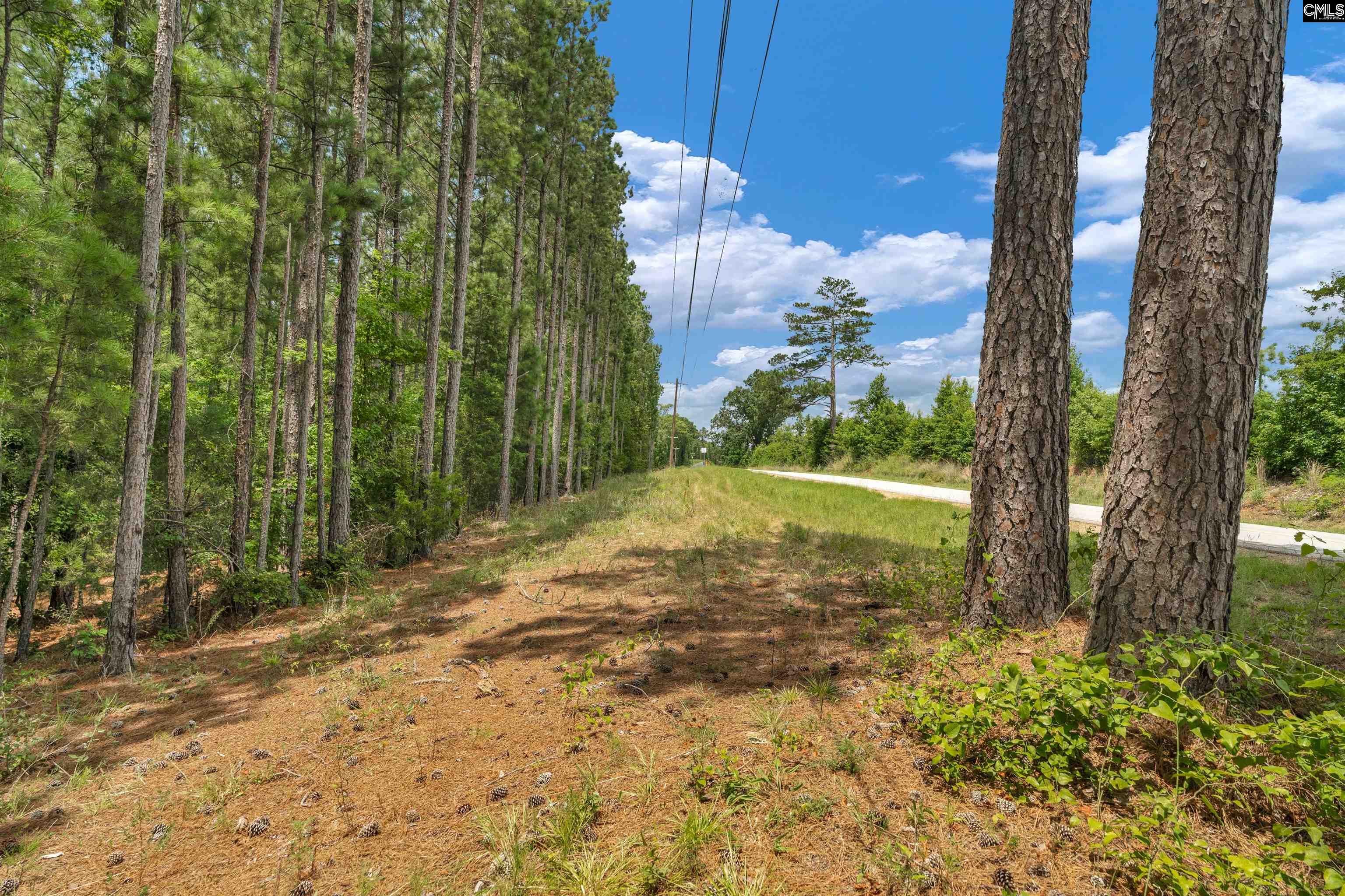 0000 Hwy 215 UNIT #9 Jenkinsville, SC 29065