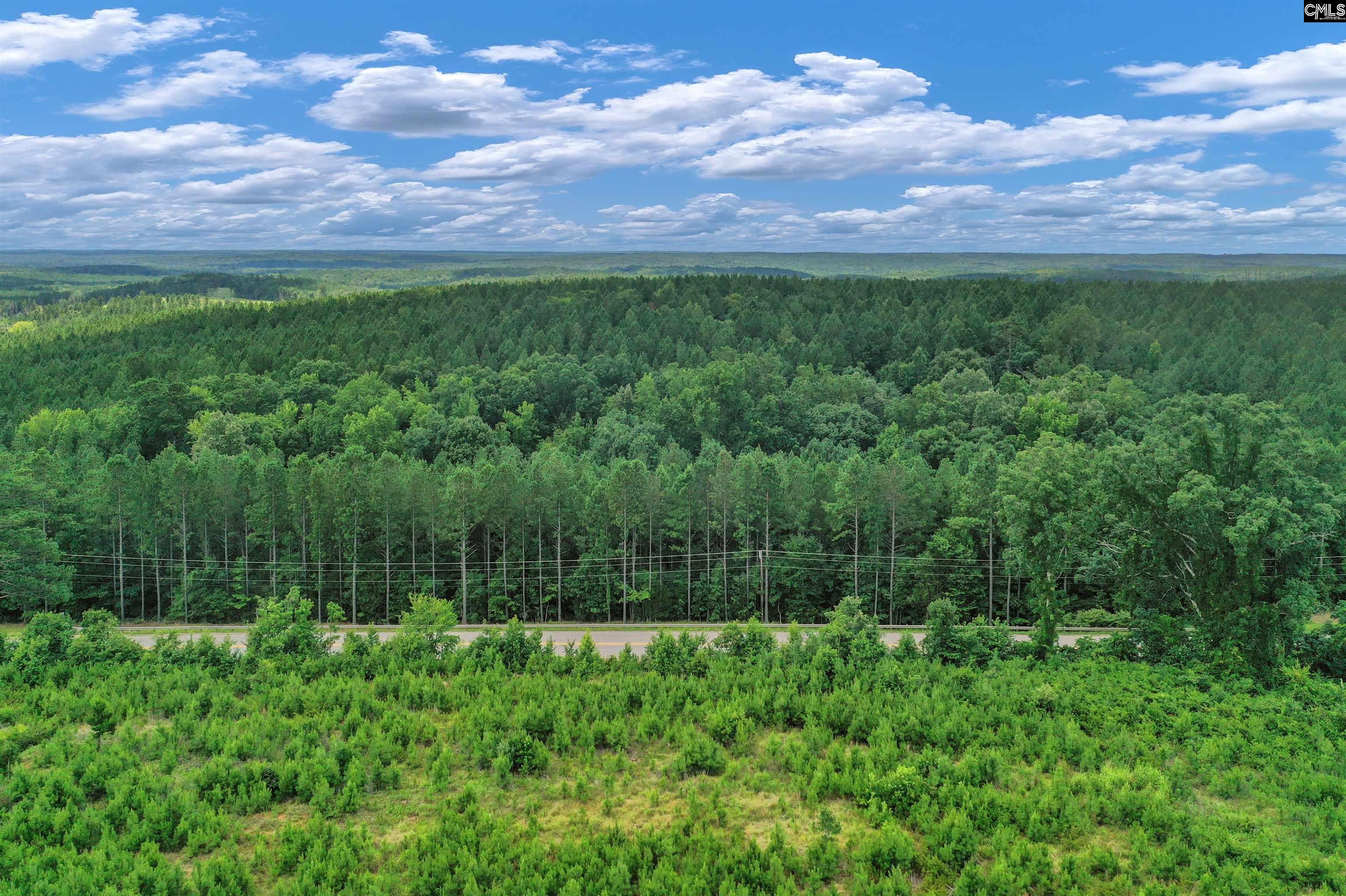 0000 Hwy 215 UNIT #9 Jenkinsville, SC 29065