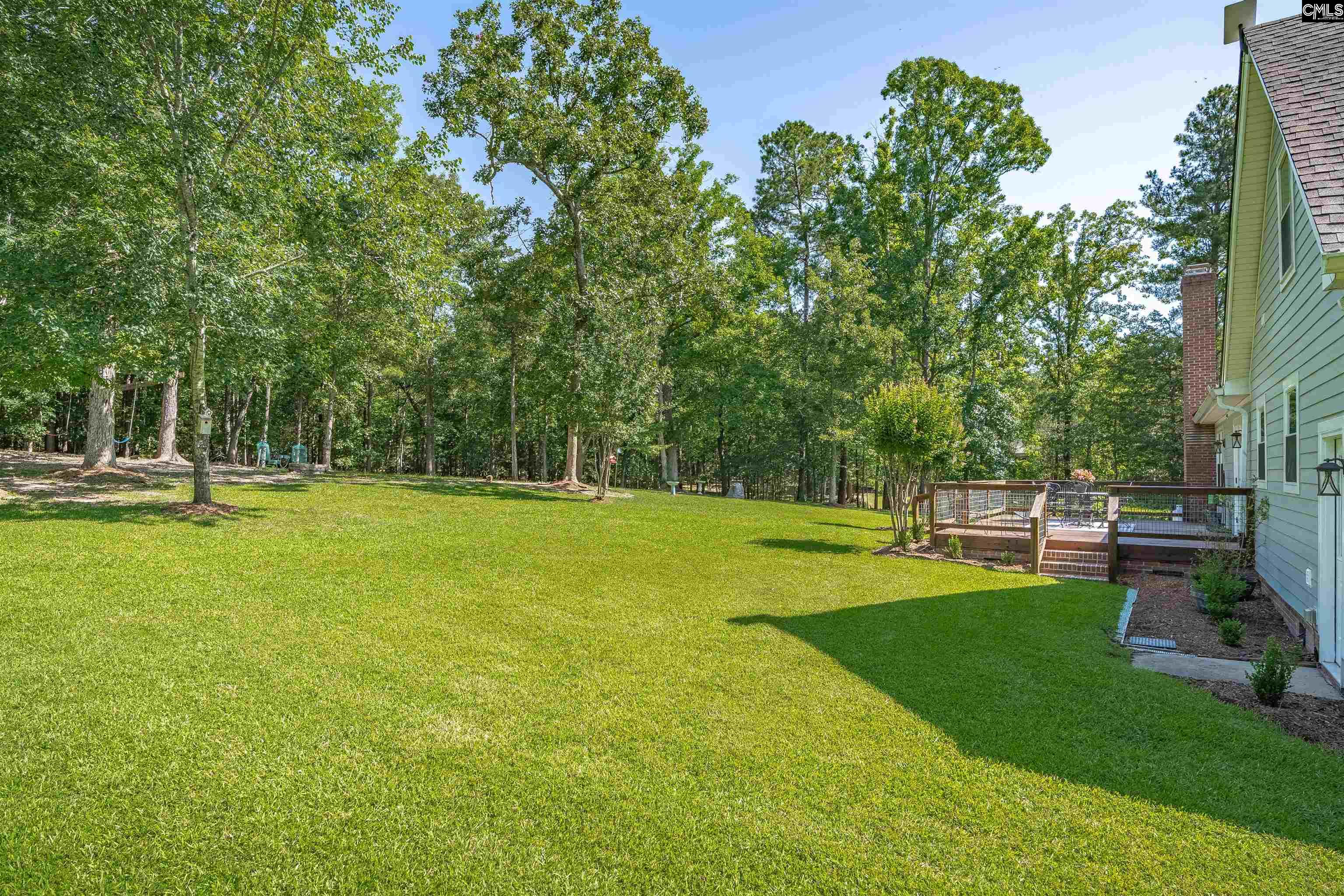 311 Pebblebranch Drive Chapin, SC 29036