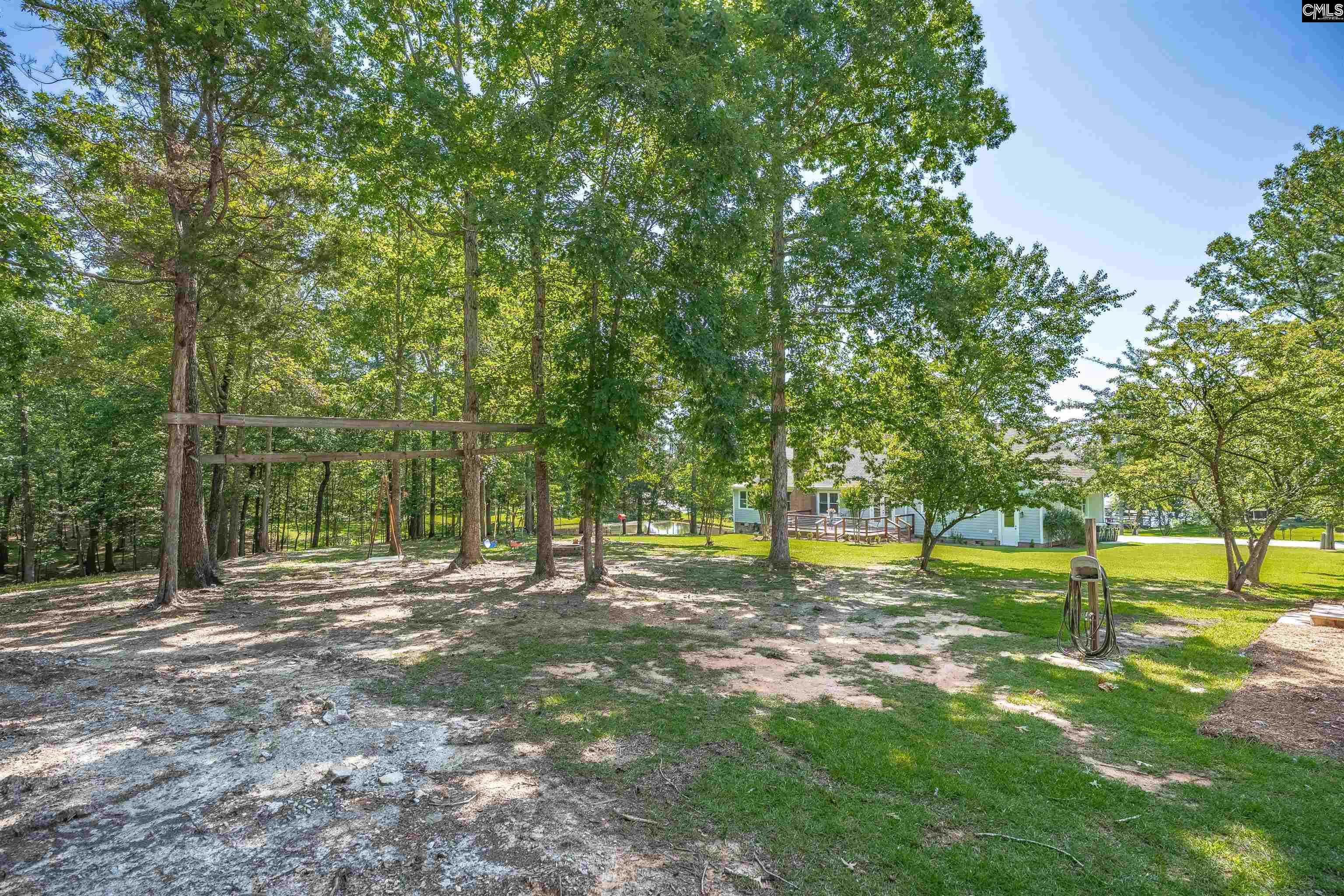 311 Pebblebranch Drive Chapin, SC 29036