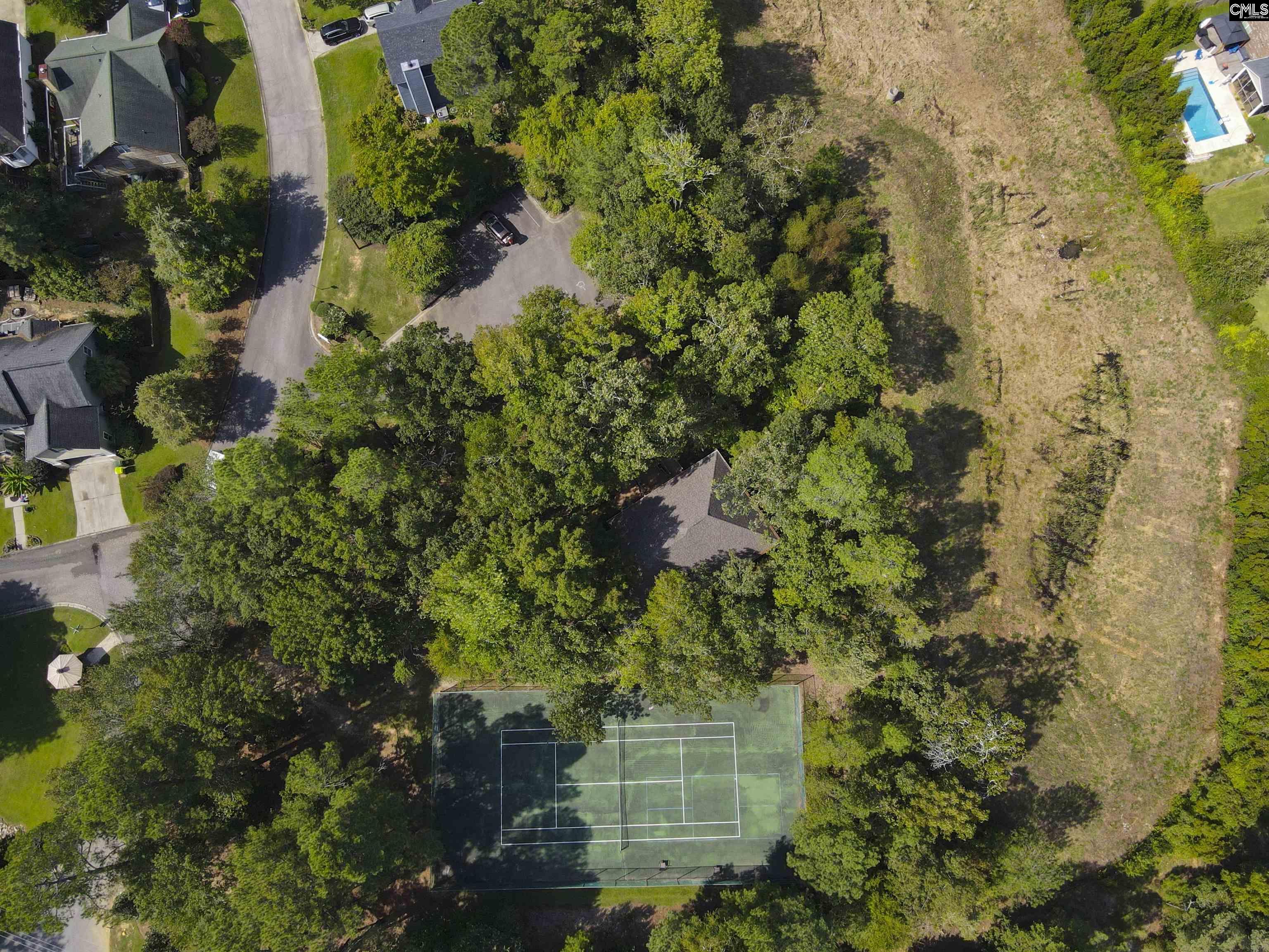 508 Willowood Parkway Chapin, SC 29036