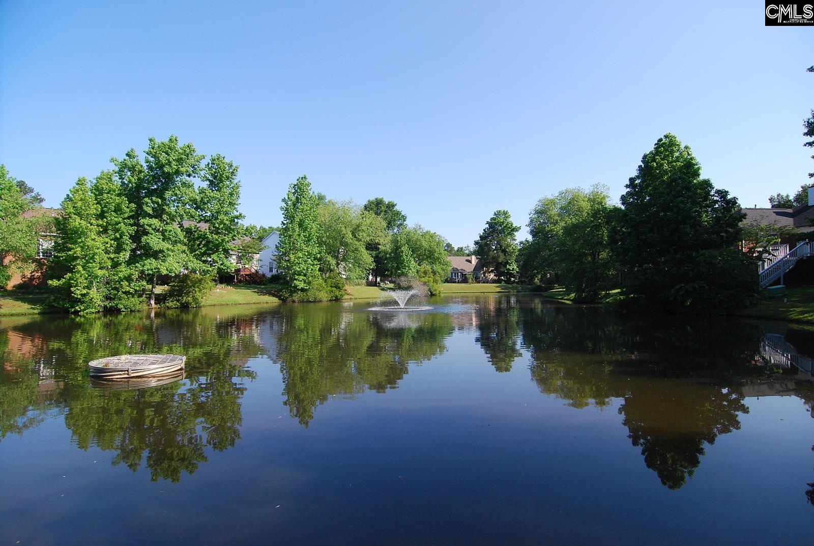 508 Willowood Parkway Chapin, SC 29036