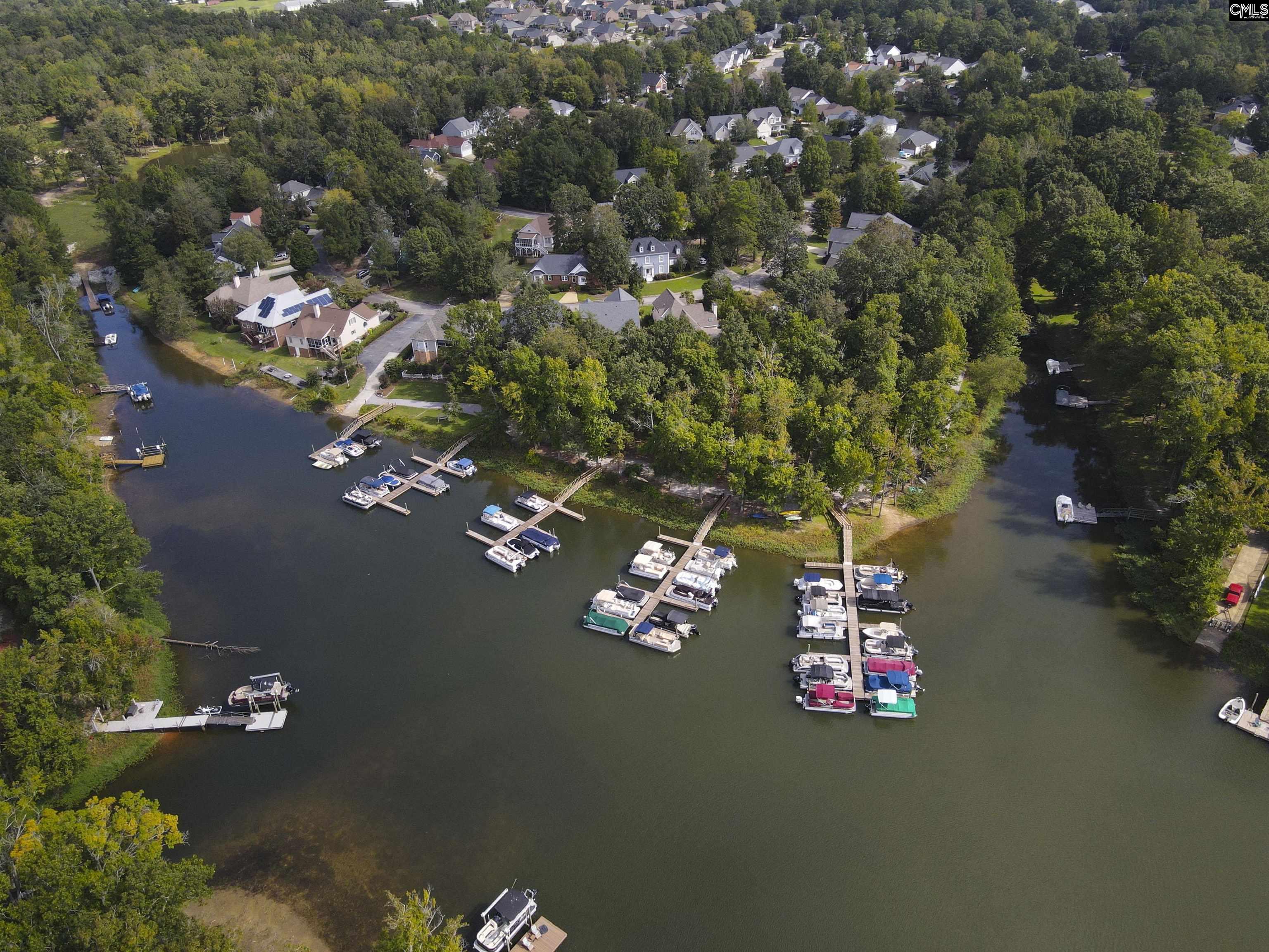 508 Willowood Parkway Chapin, SC 29036