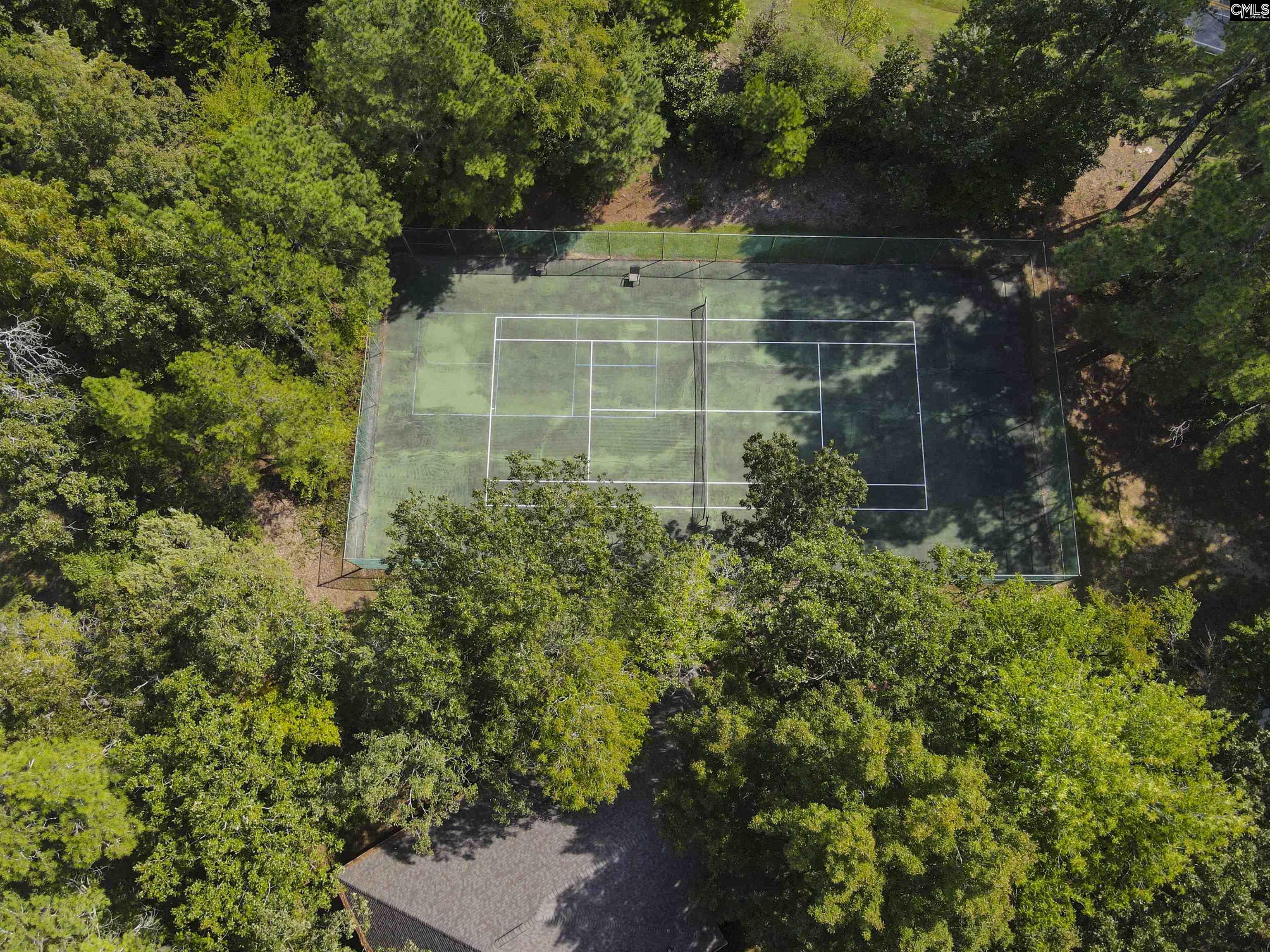 508 Willowood Parkway Chapin, SC 29036