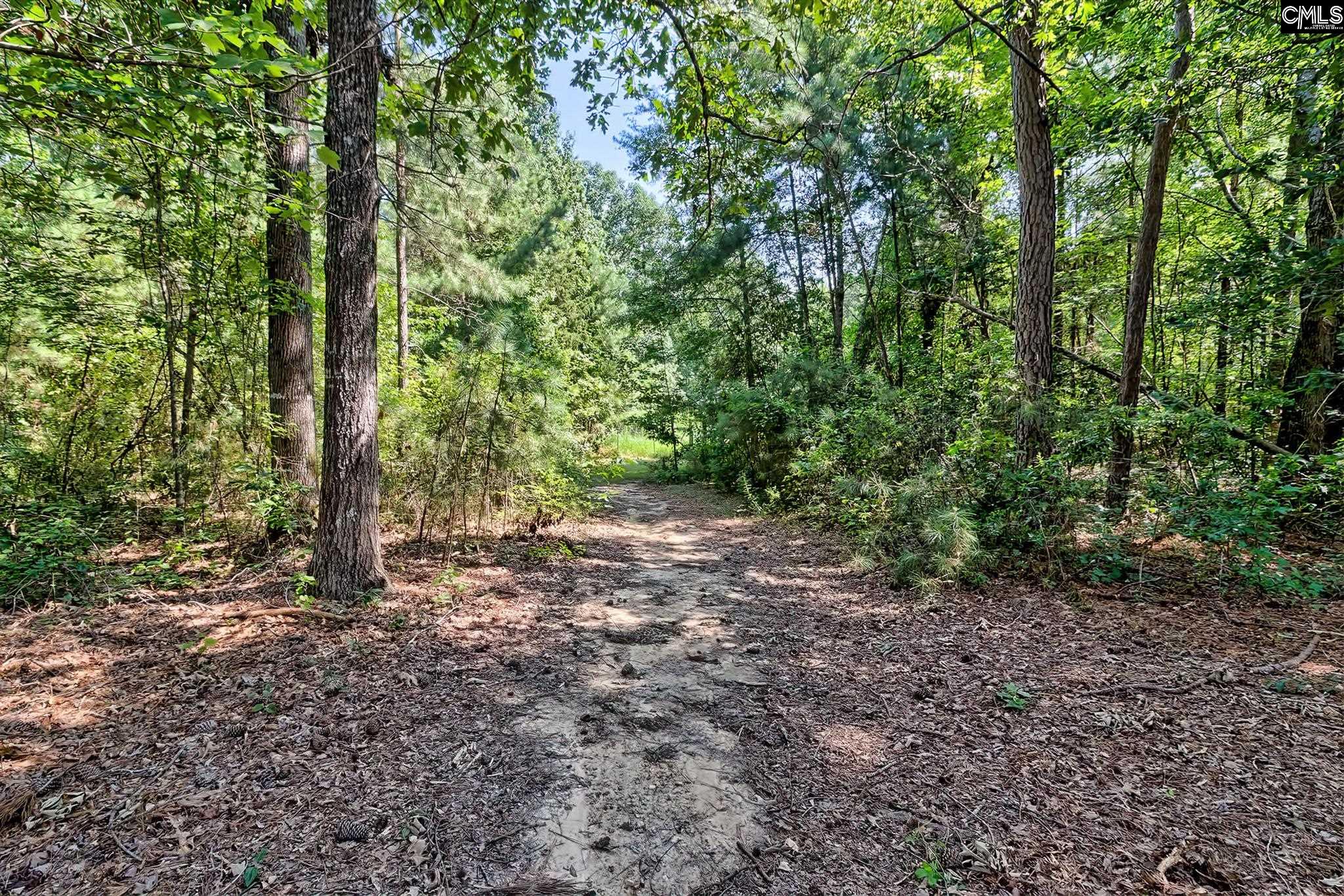 373 Smallwood Road Ridgeway, SC 29130
