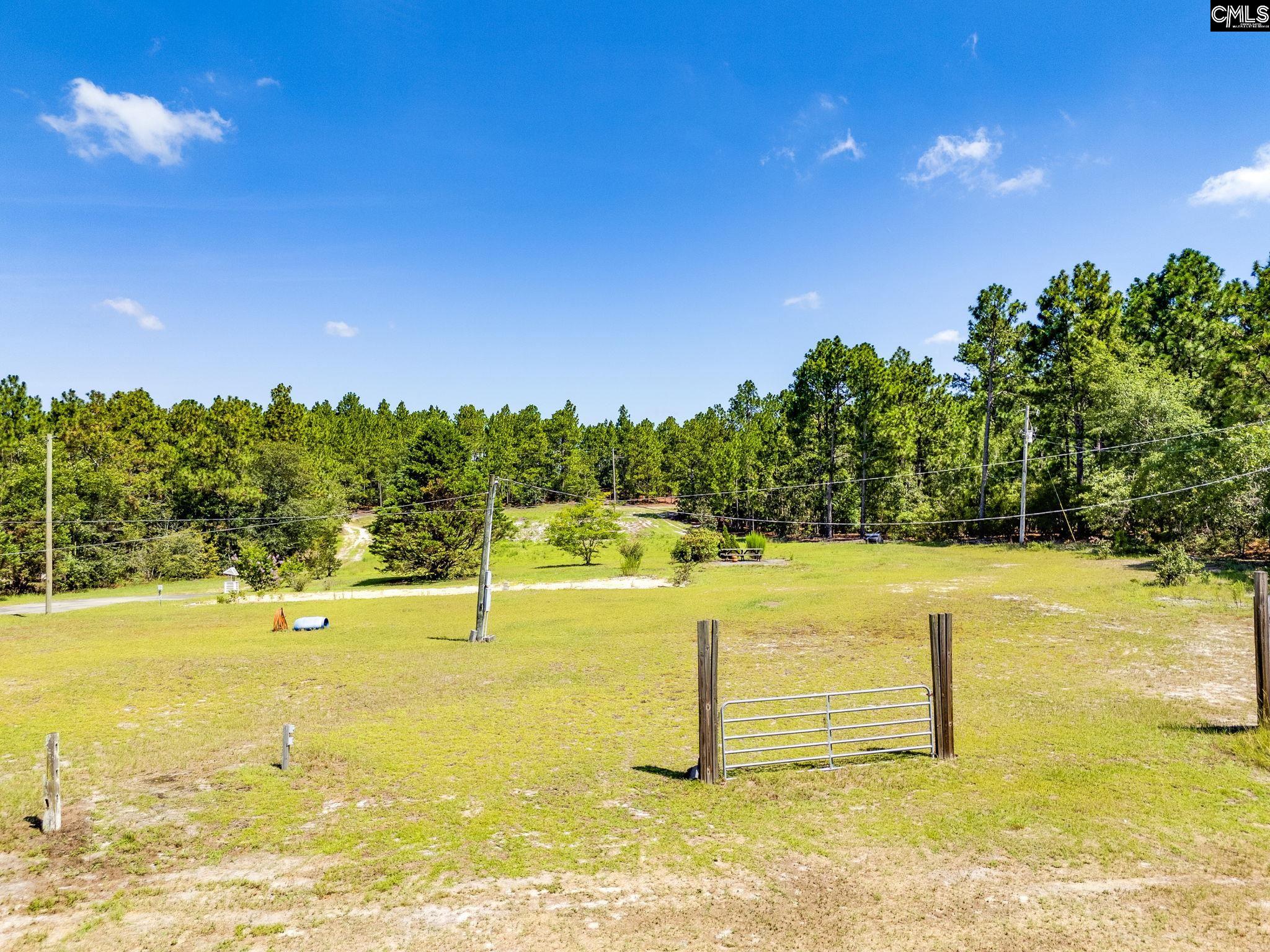 234 Chandler Drive Gilbert, SC 29054
