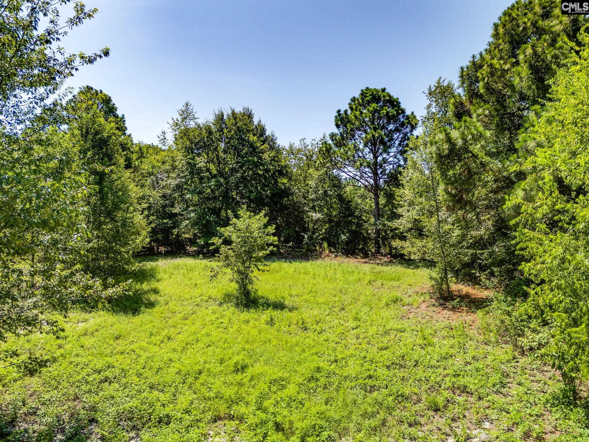 234 Chandler Drive Gilbert, SC 29054
