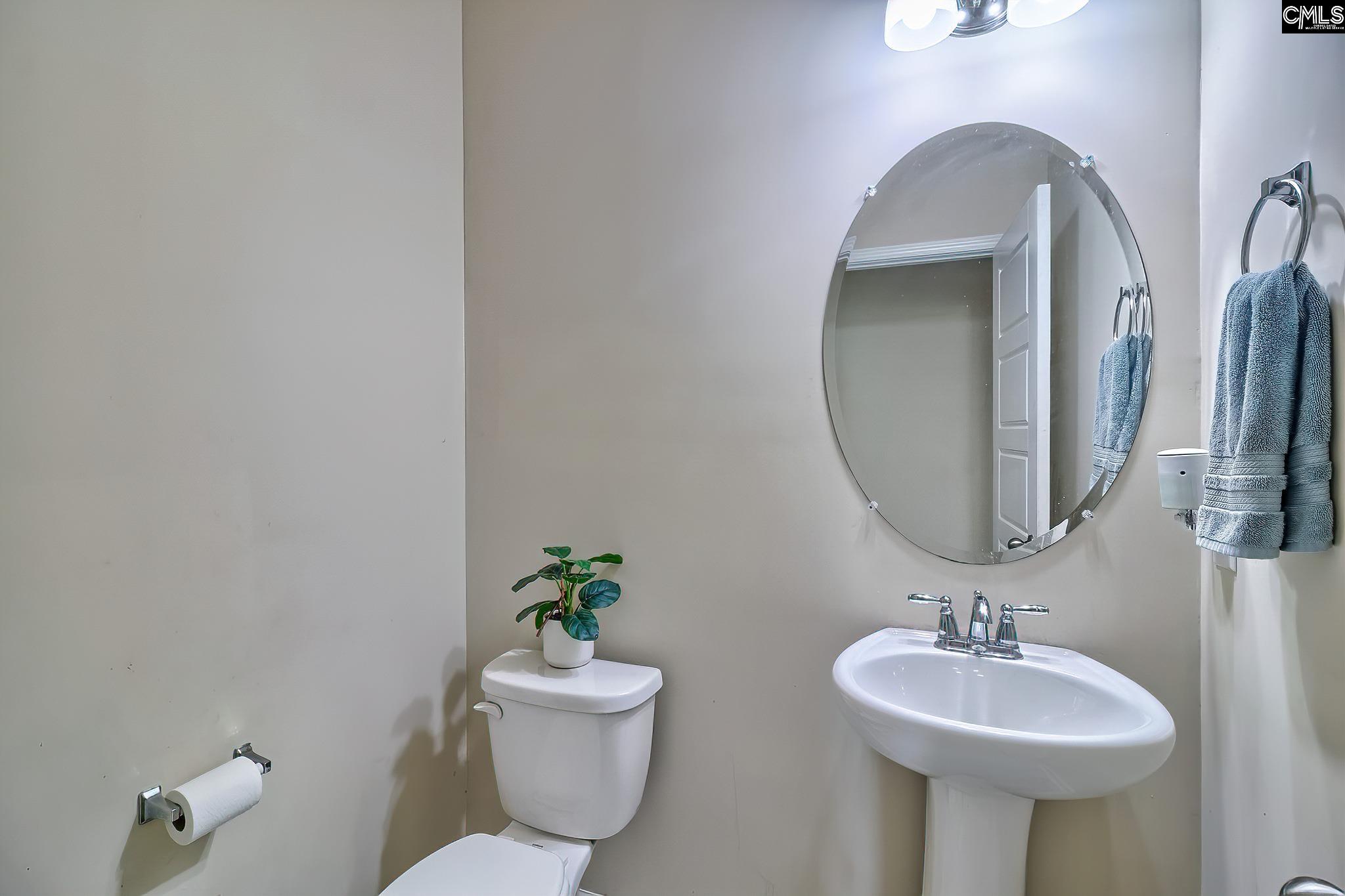 227 Bickley View Court Chapin, SC 29036