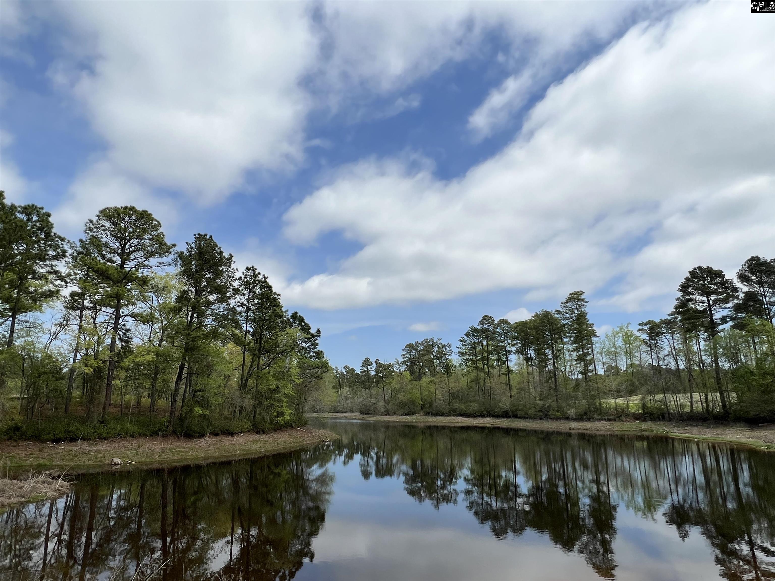 178 Secretariat Road Lexington, SC 29073