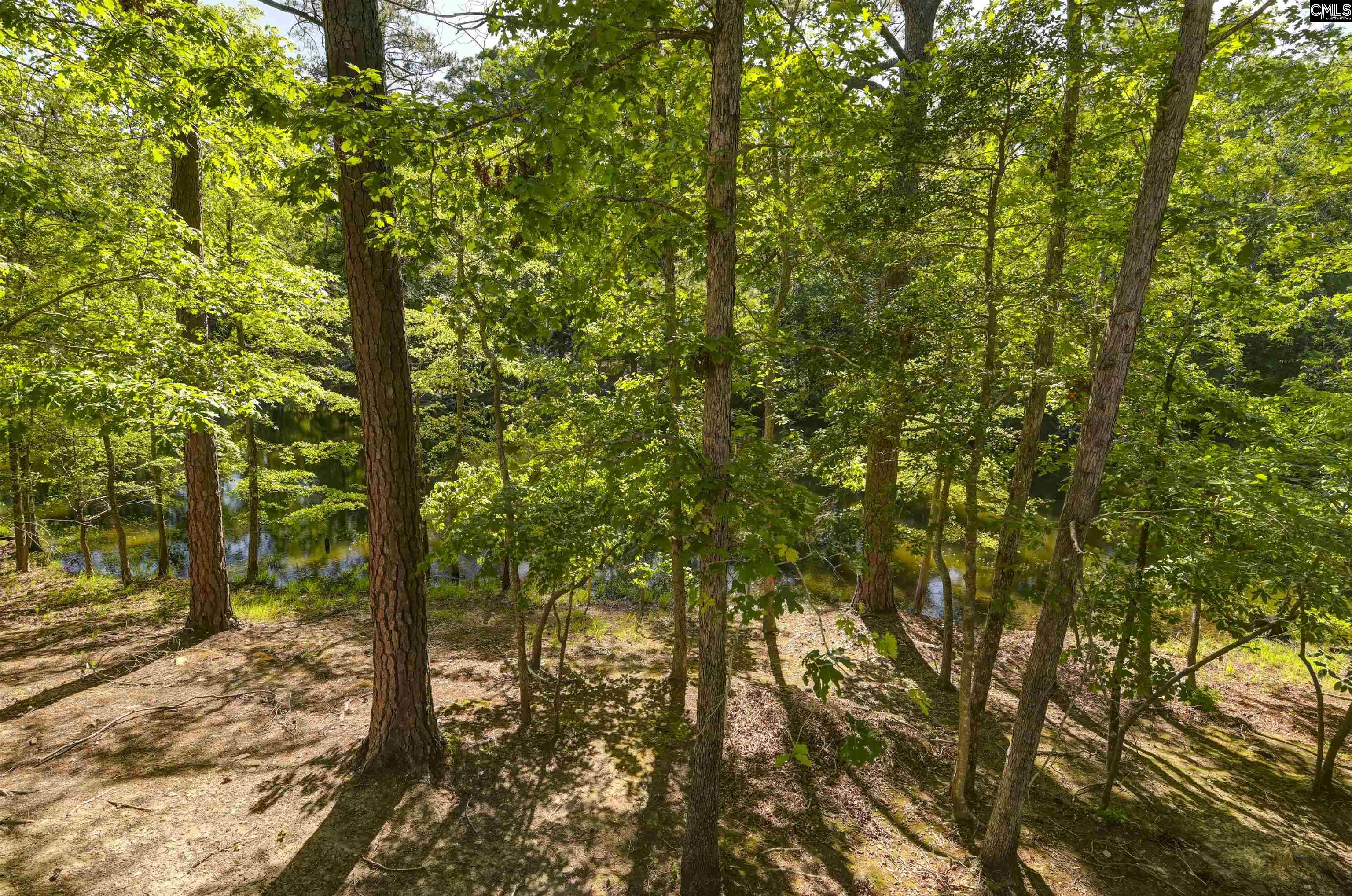 277 Forest Shores Road Prosperity, SC 29127