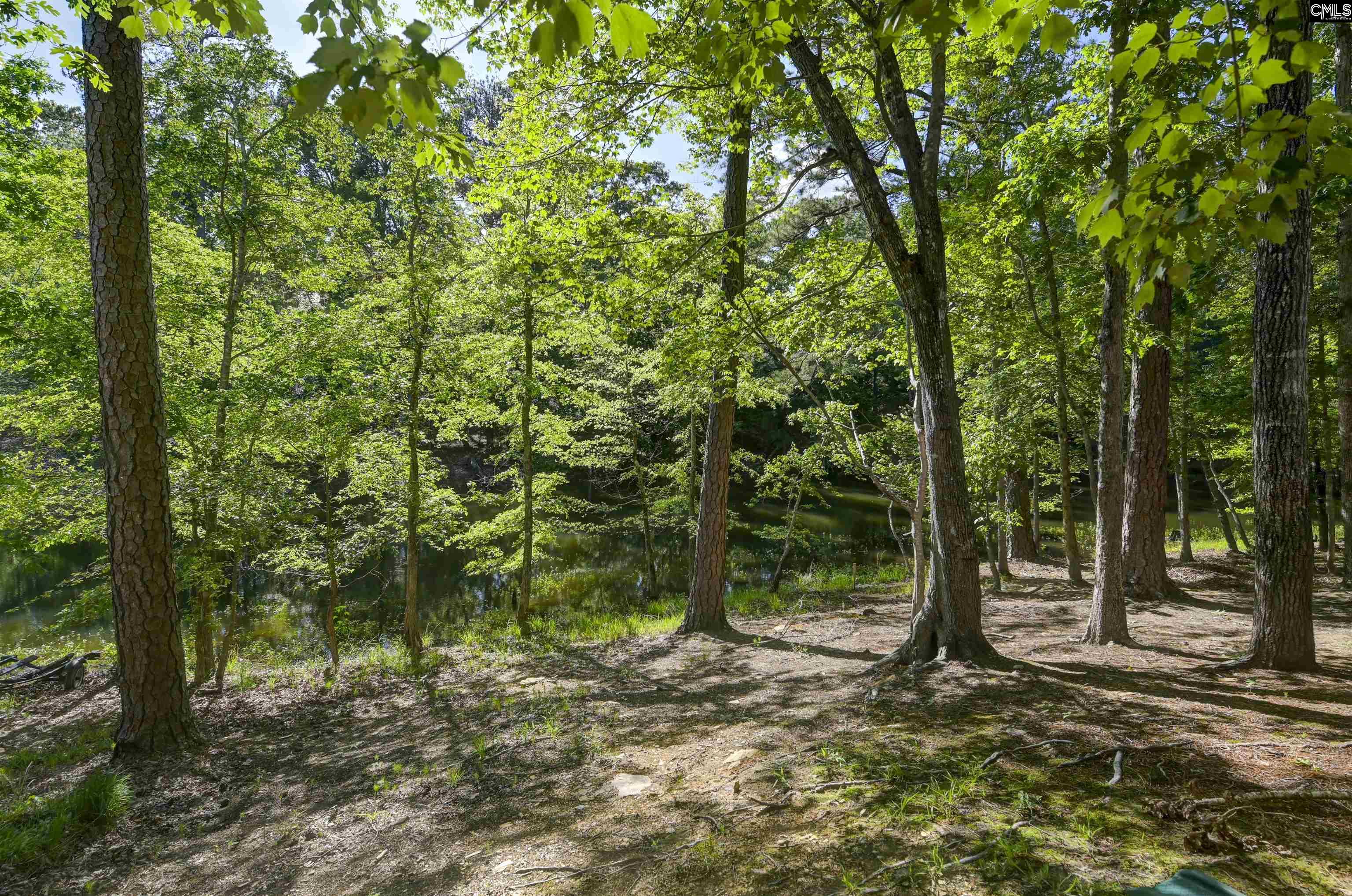 277 Forest Shores Road Prosperity, SC 29127