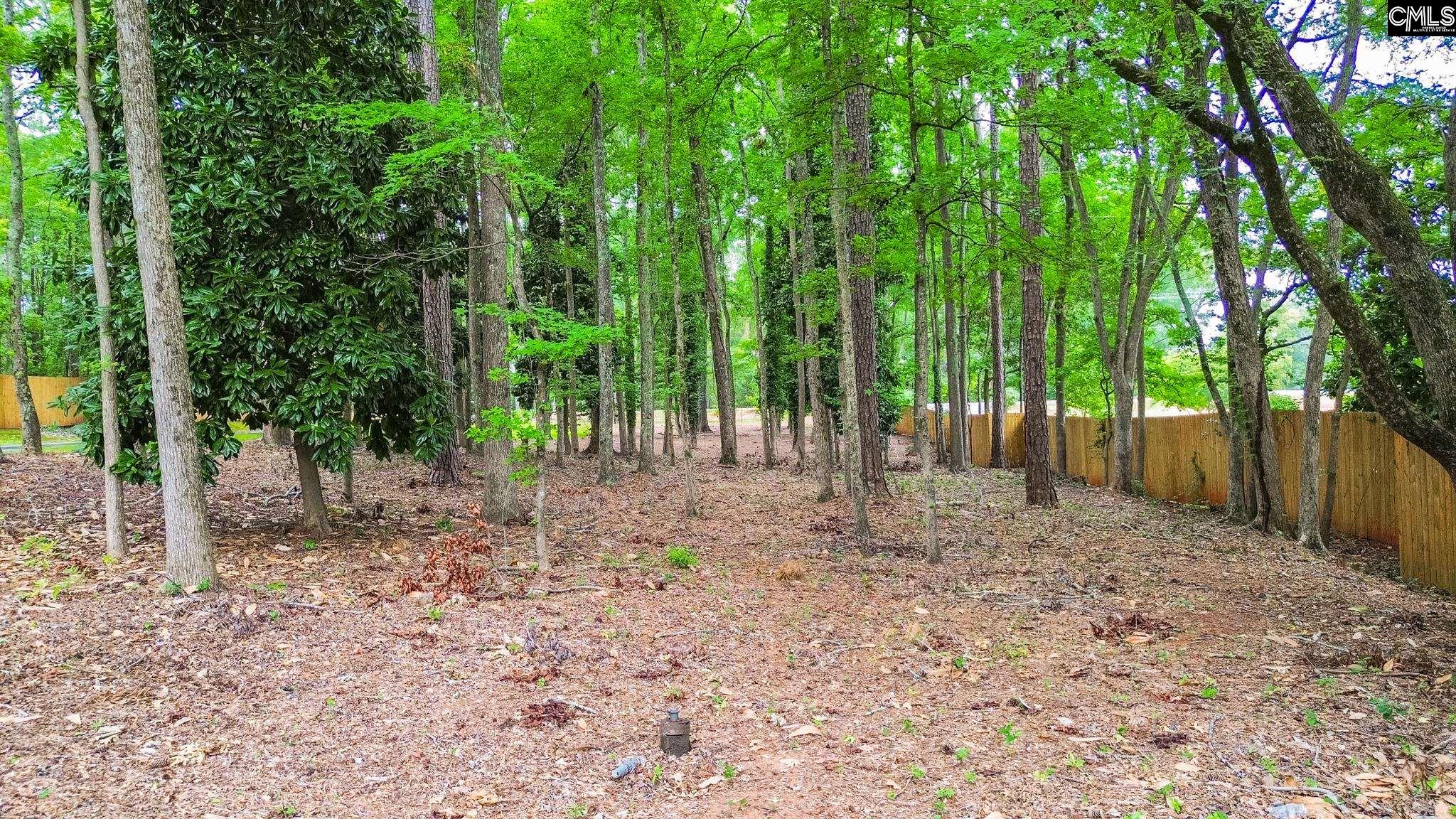 1408 Old Chapin Road UNIT #1 Lexington, SC 29072