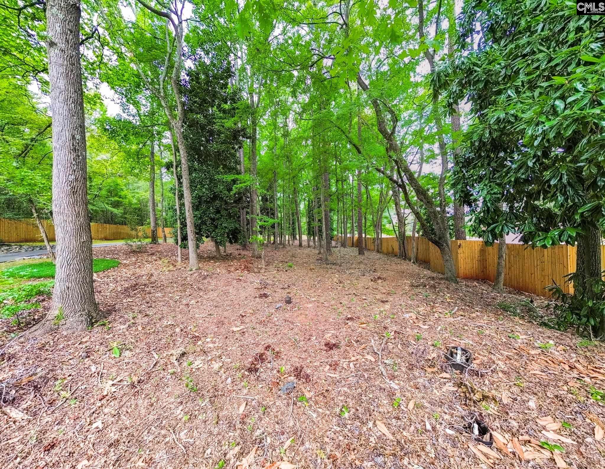 1408 Old Chapin Road UNIT #1 Lexington, SC 29072