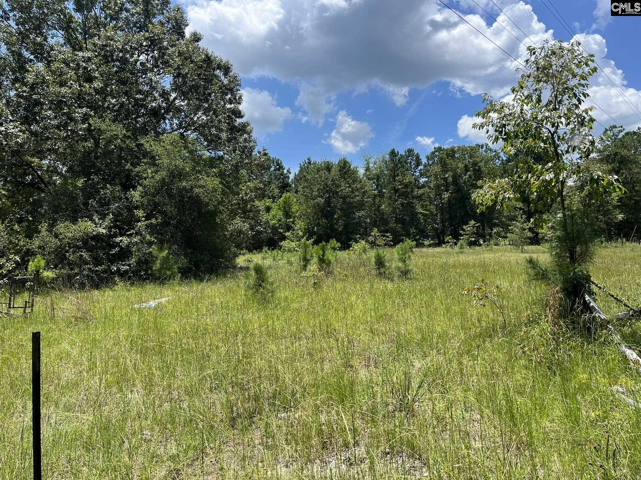 454 Calhoun Road Swansea, SC 29160
