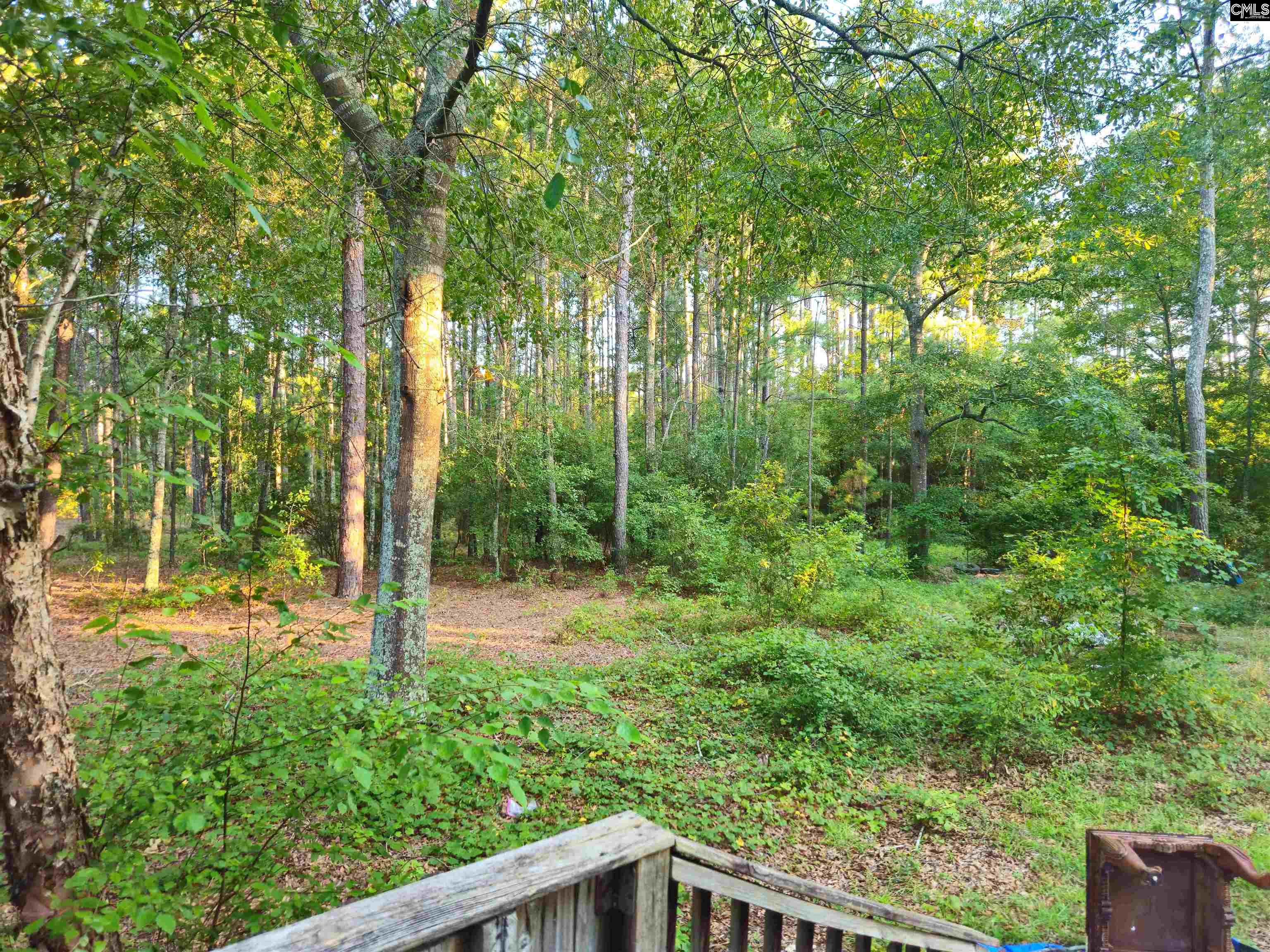 134 Aiken Craft Road Pelion, SC 29123