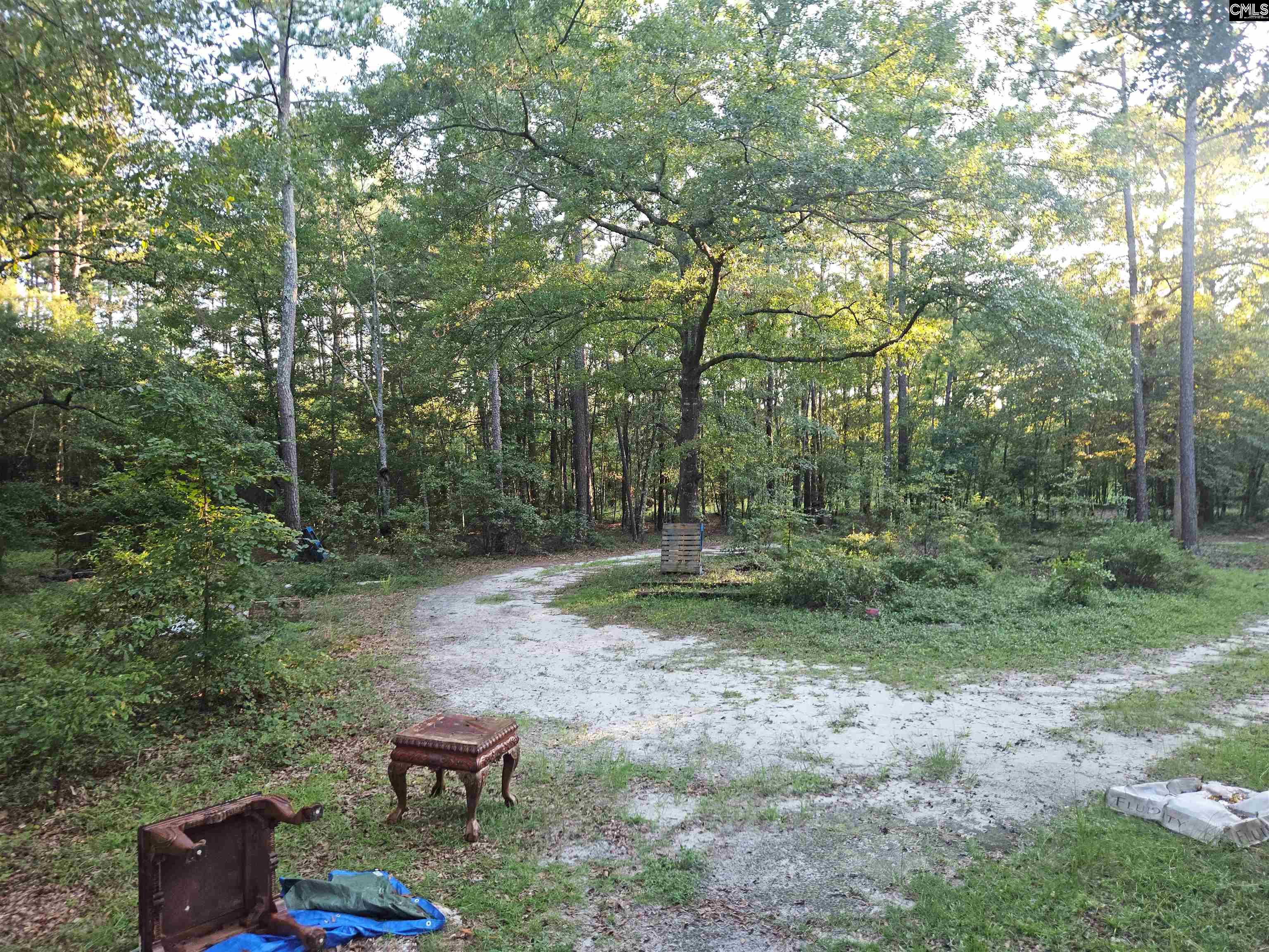 134 Aiken Craft Road Pelion, SC 29123