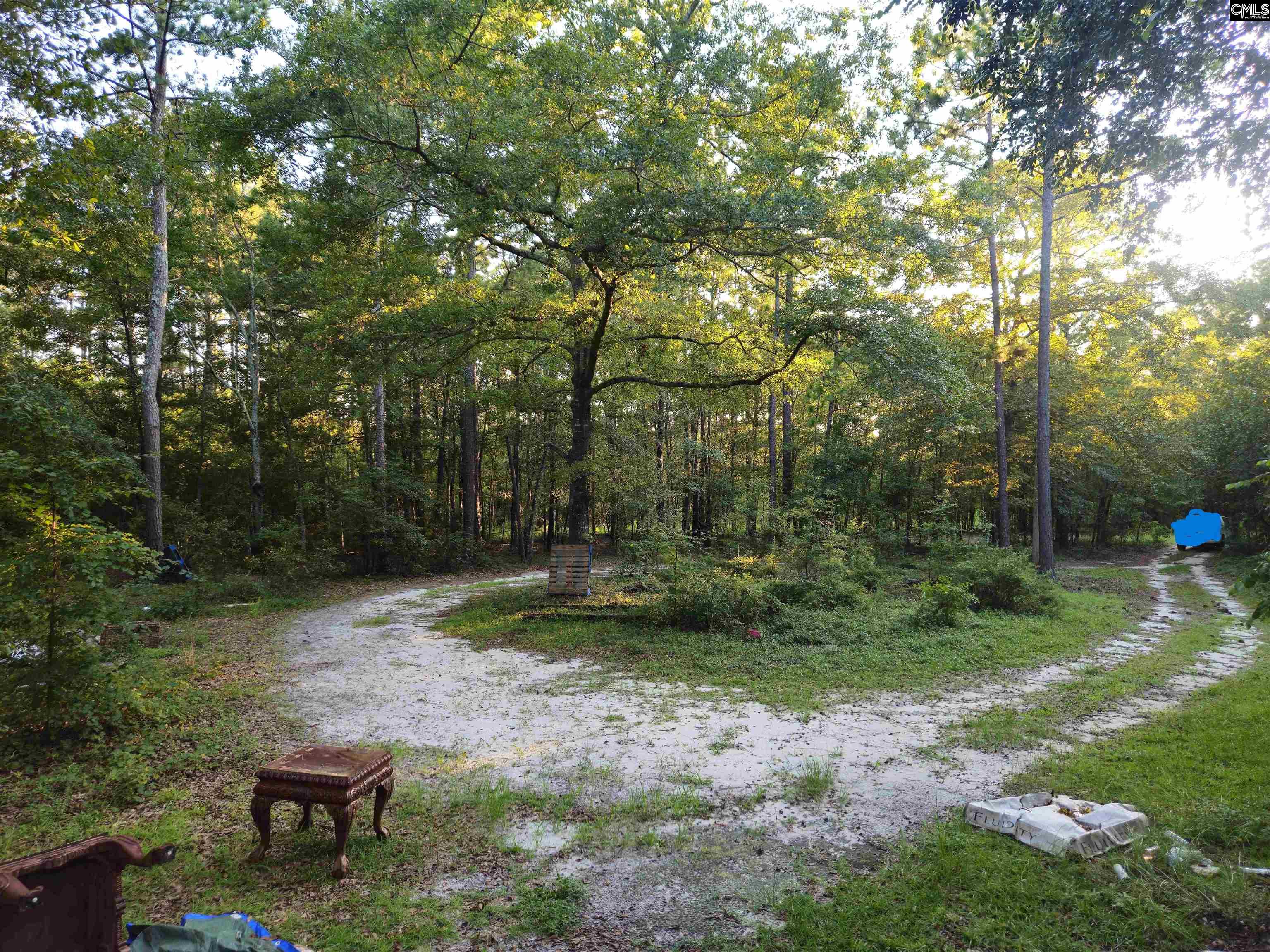 134 Aiken Craft Road Pelion, SC 29123