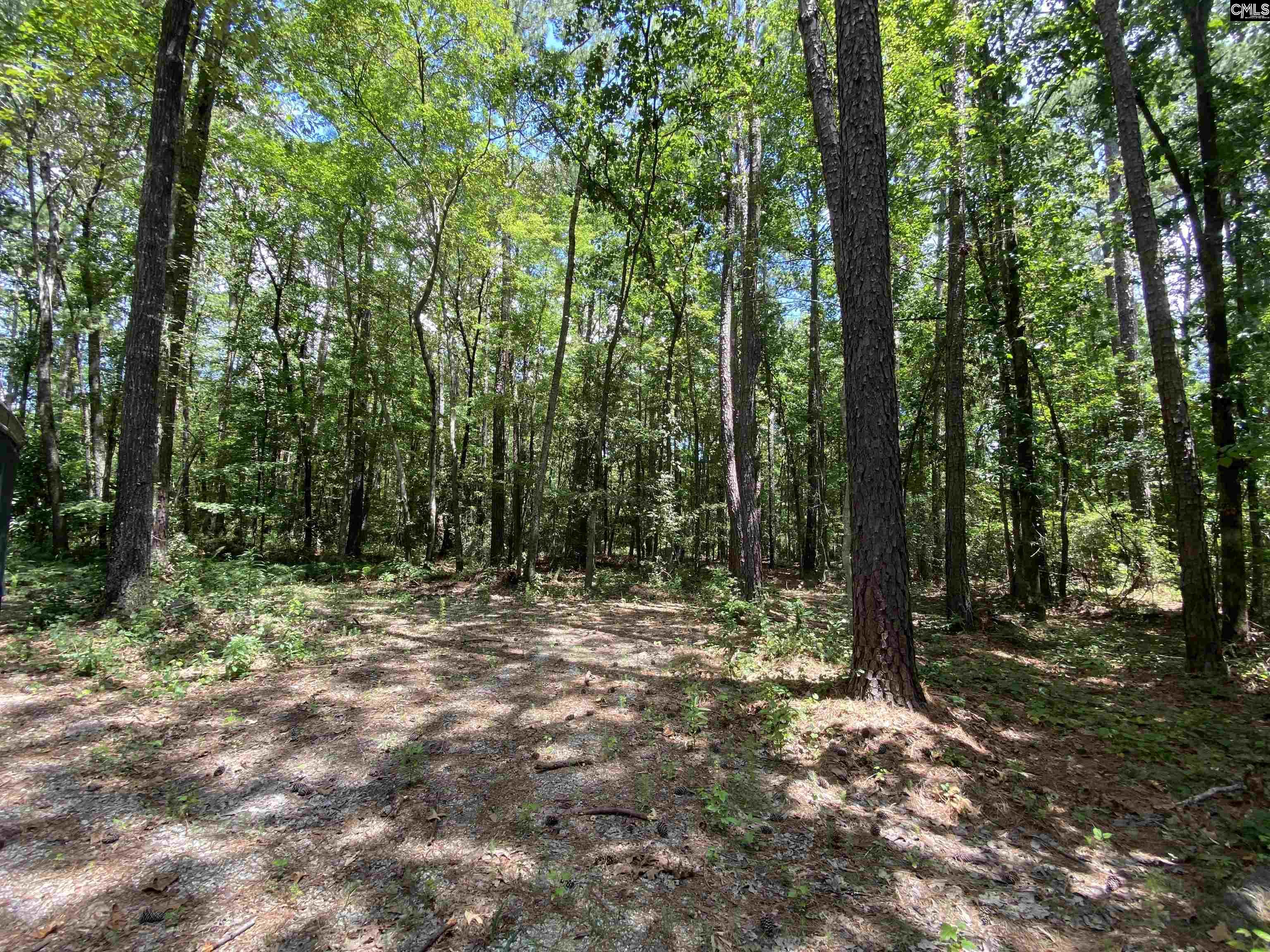 1046 Gary Goff Road Elgin, SC 29045