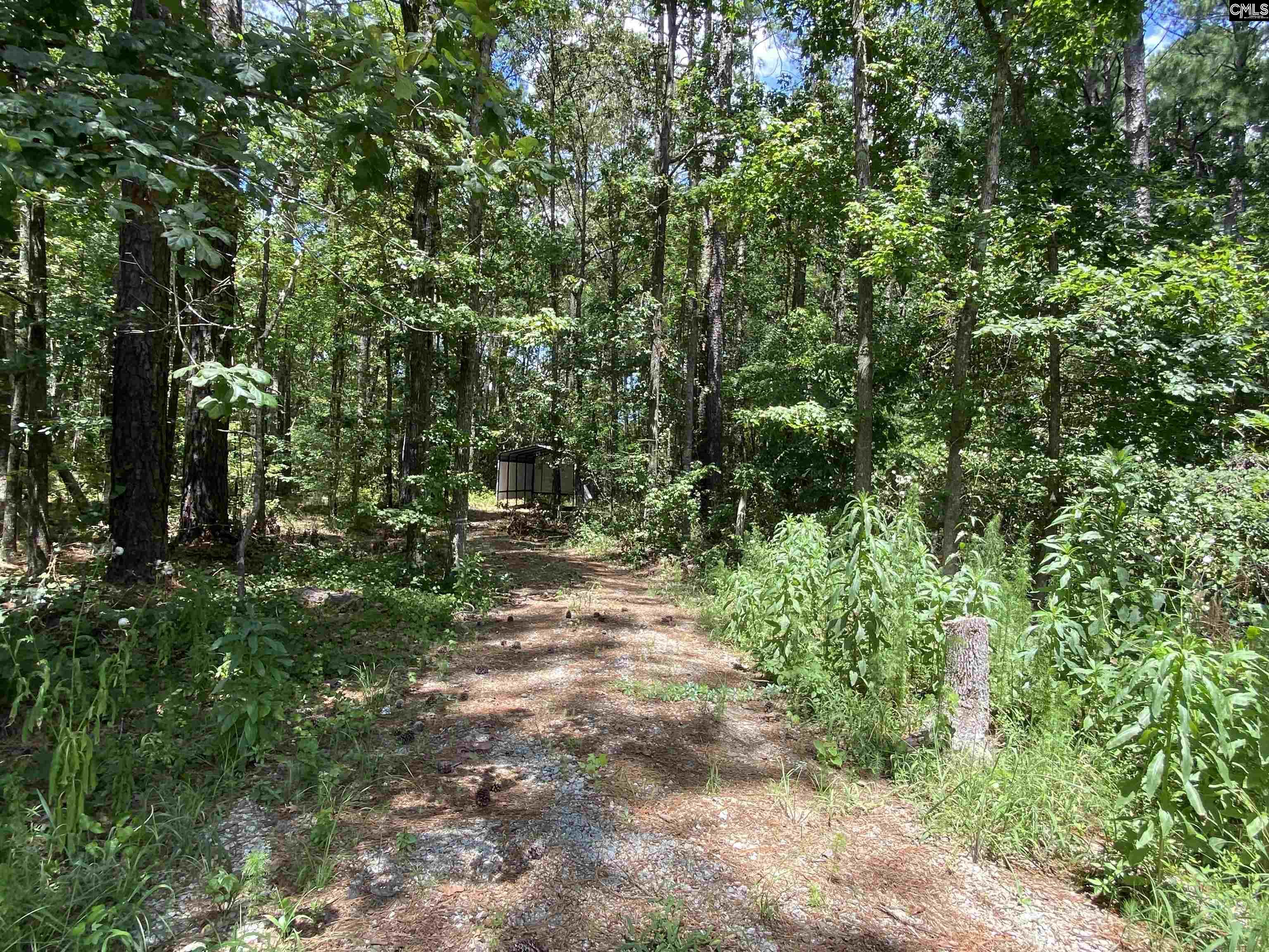 1046 Gary Goff Road Elgin, SC 29045