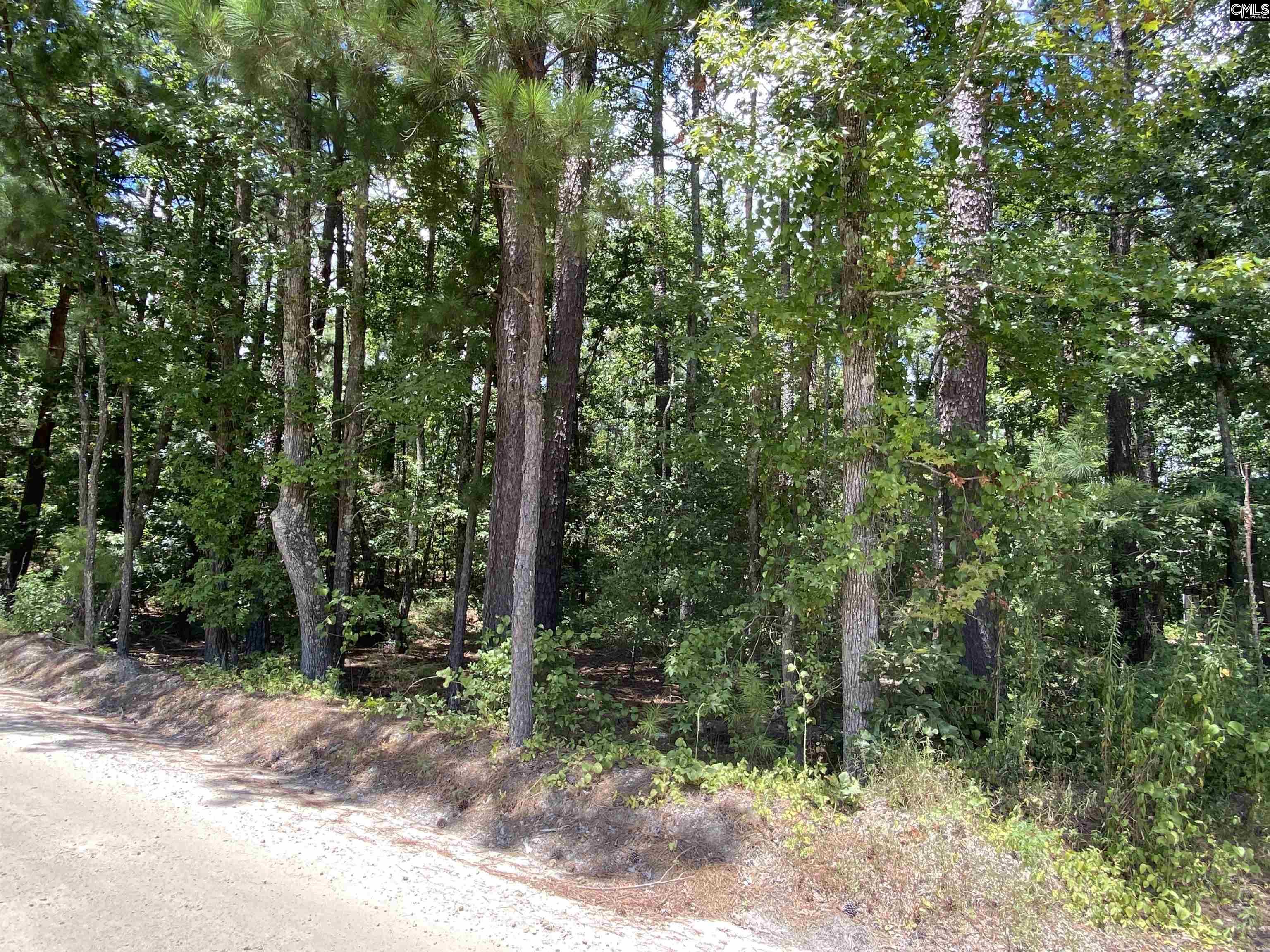 1046 Gary Goff Road Elgin, SC 29045