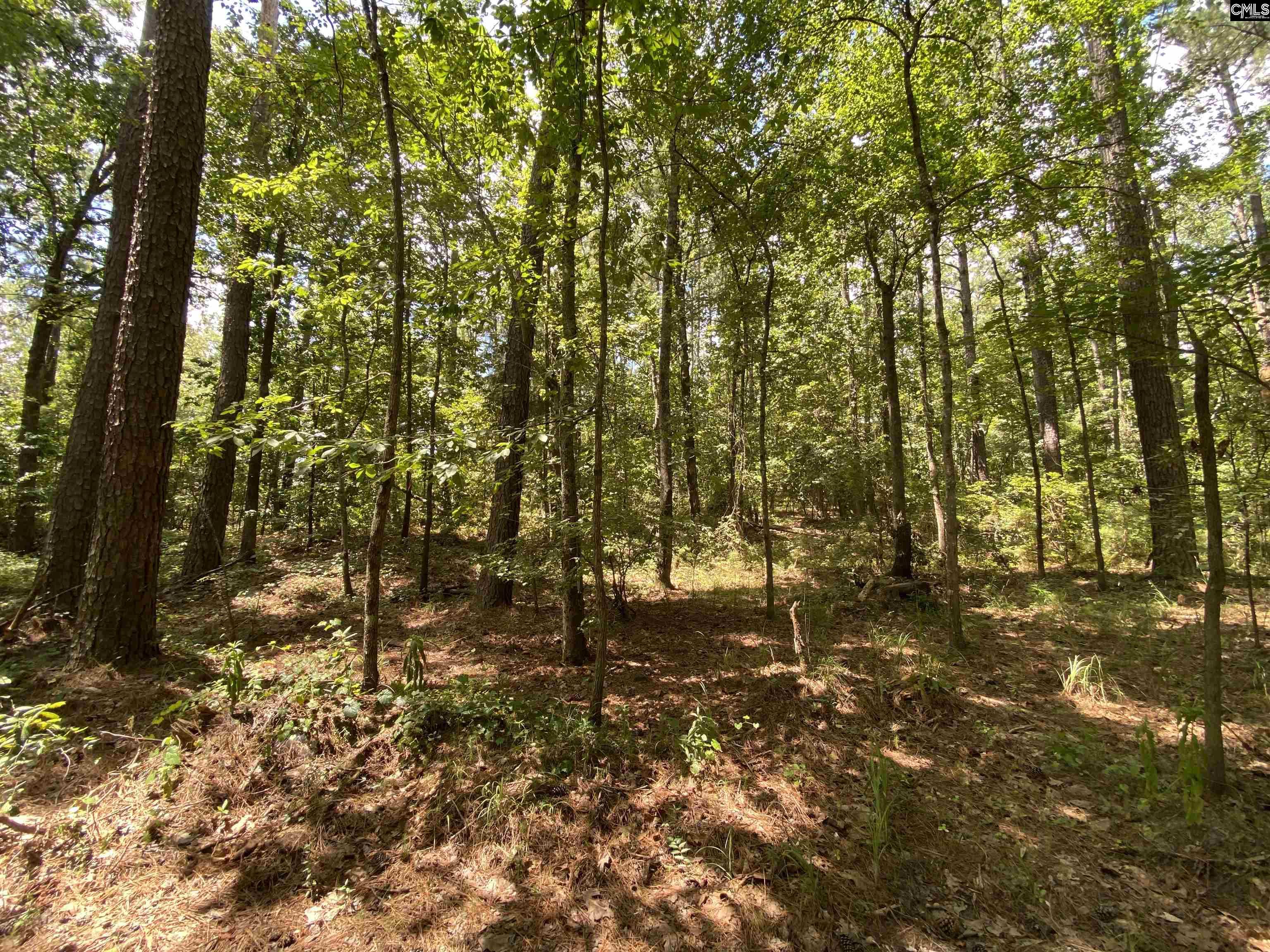 1046 Gary Goff Road Elgin, SC 29045